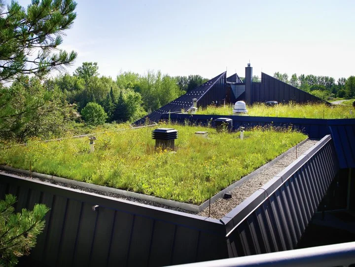 View of a flat rooftop with a green roof garden, surrounded by a black metal edge, and a sloped roof with a blue metal surface in the background, with trees and a clear sky.