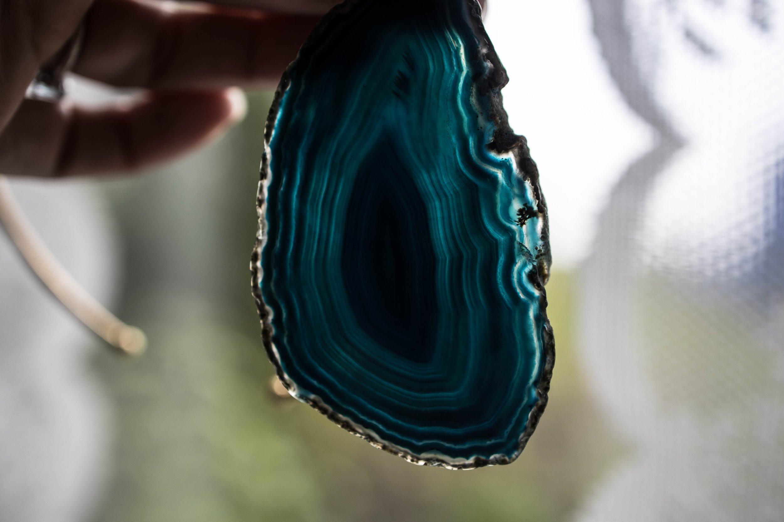 shell33 (1 of 1).jpg