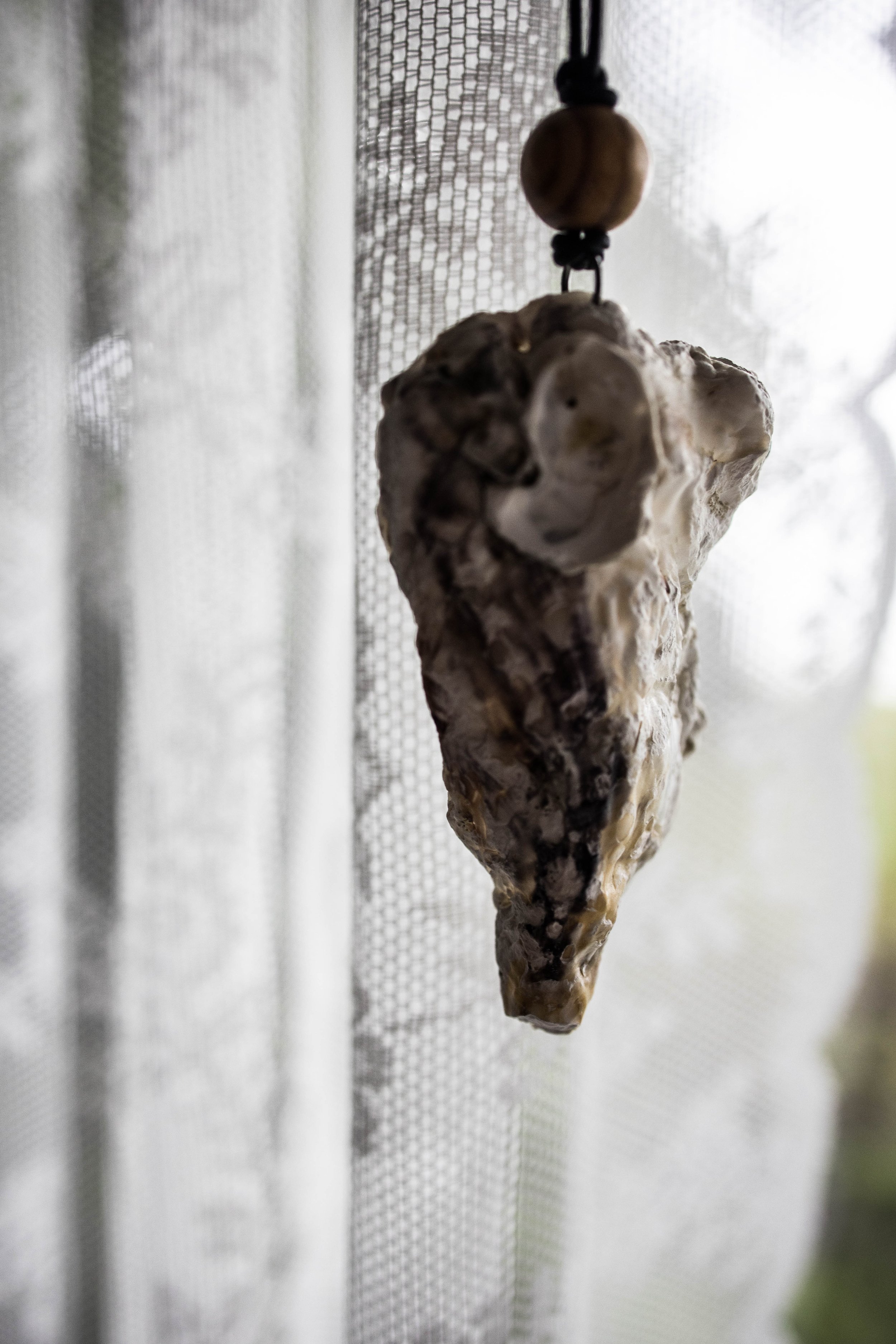 shell14 (1 of 1).jpg