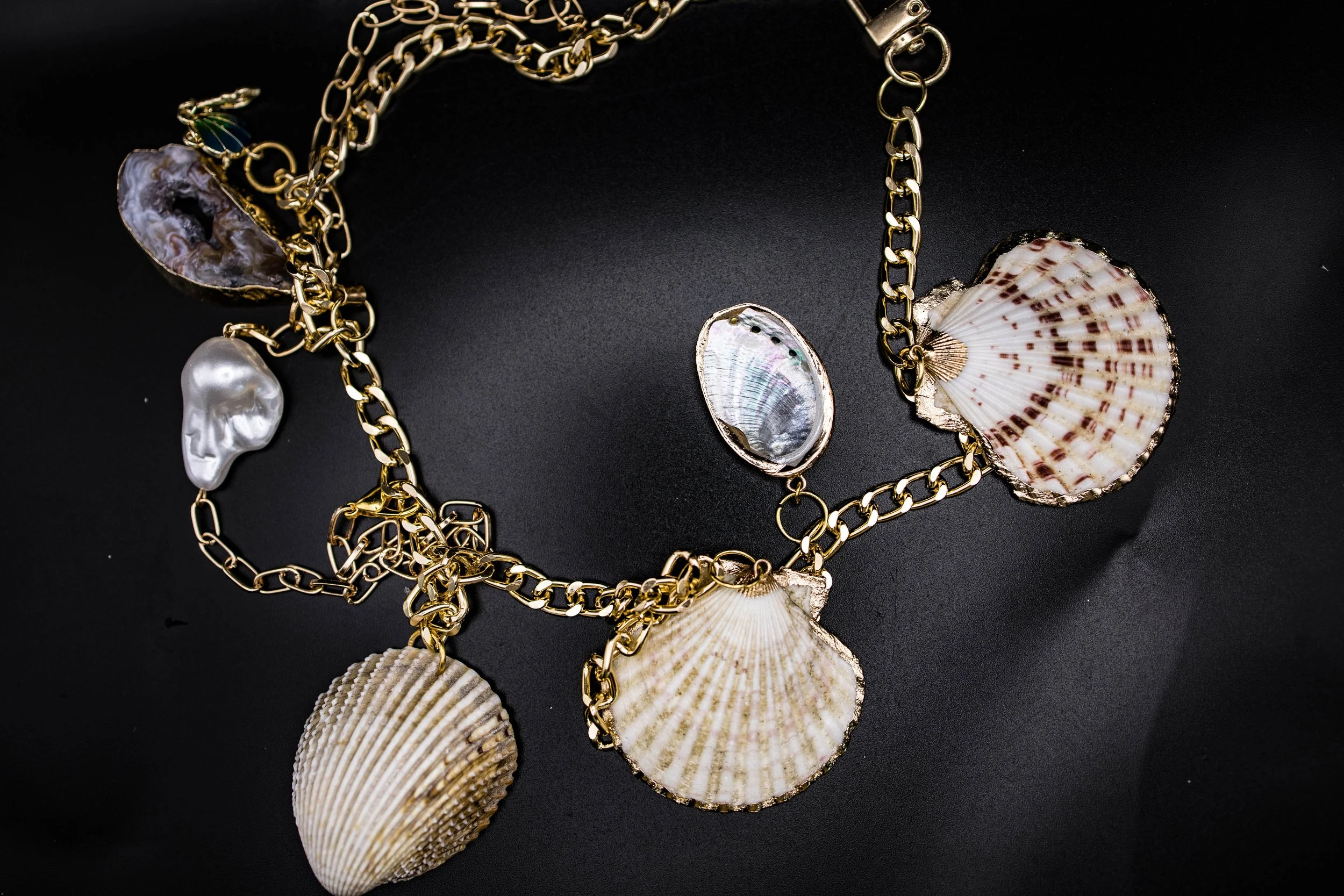 shell42 (1 of 1).jpg