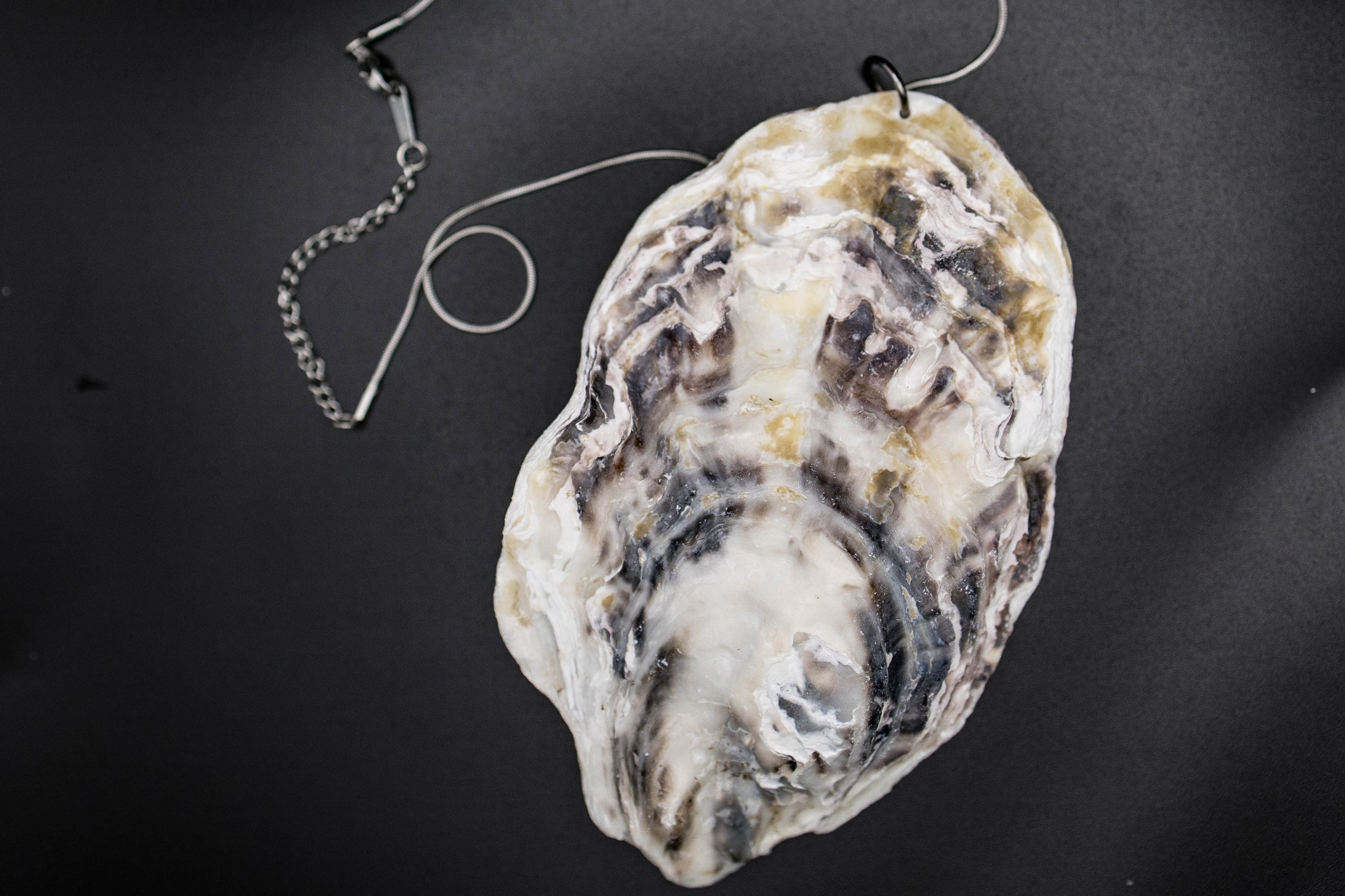 shell36 (1 of 1).jpg