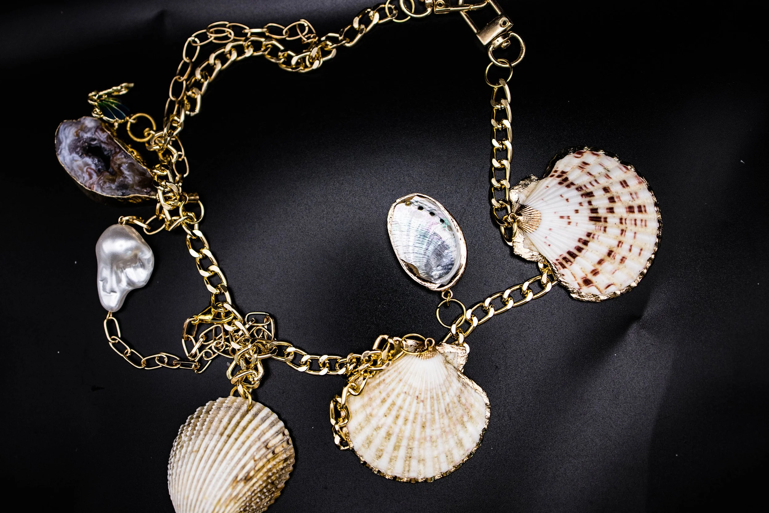 shell45 (1 of 1).jpg