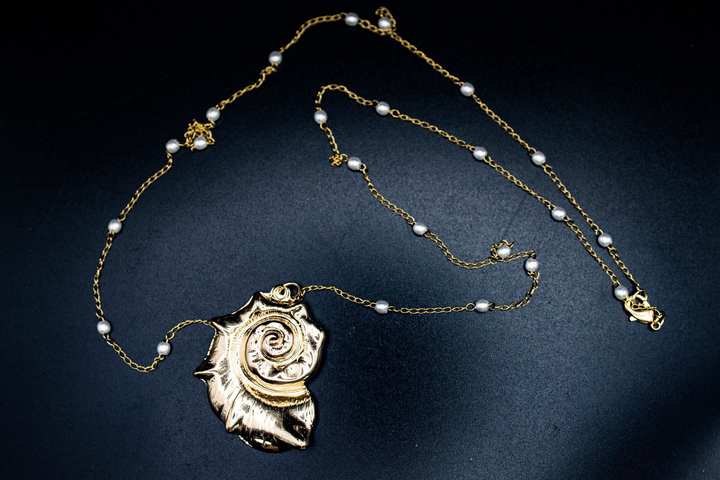 shell40 (1 of 1).jpg