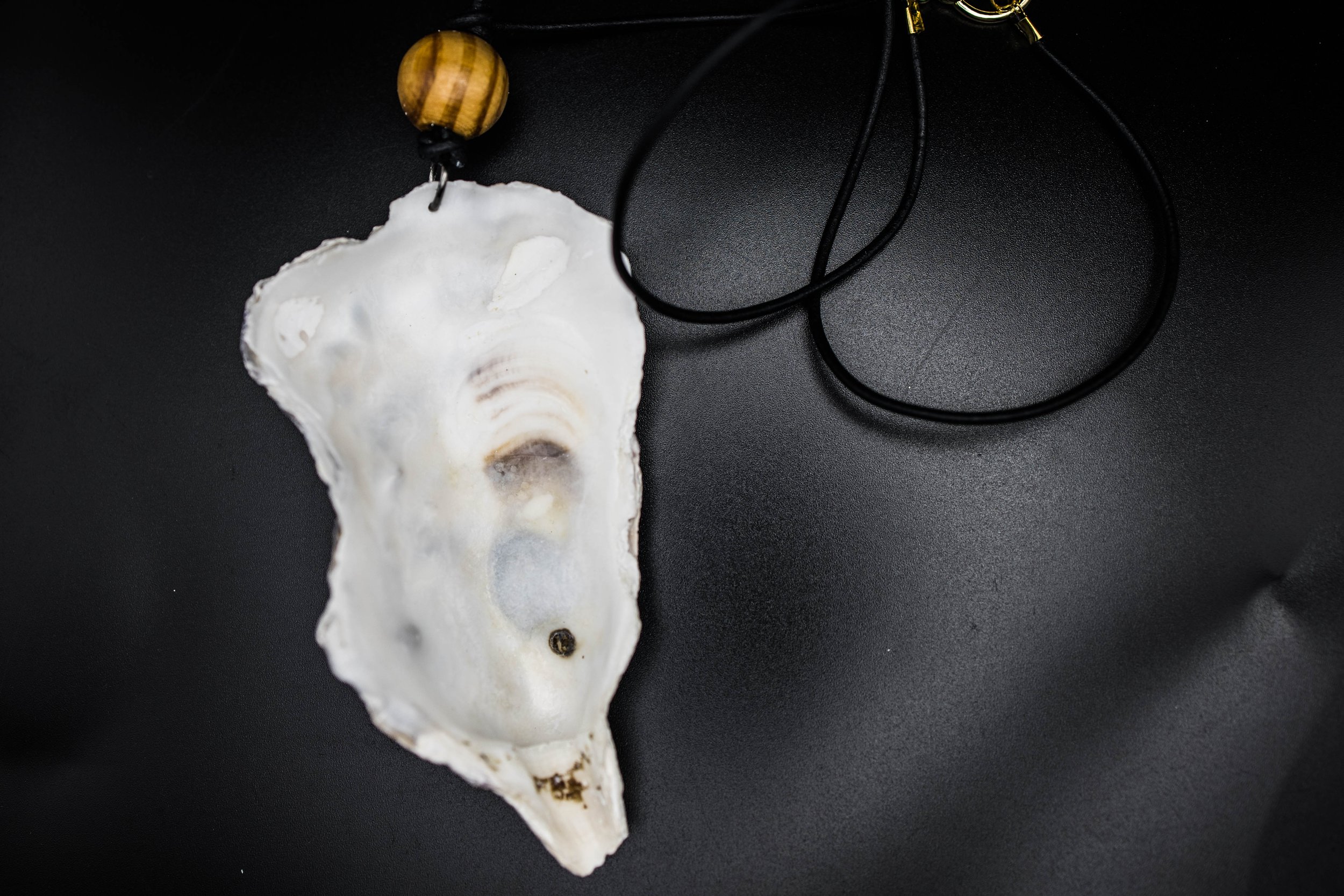 shell10 (1 of 1).jpg