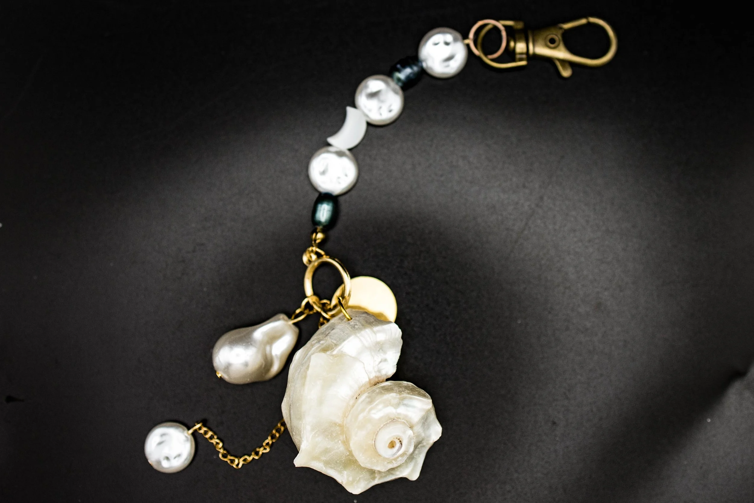 shell47 (1 of 1).jpg
