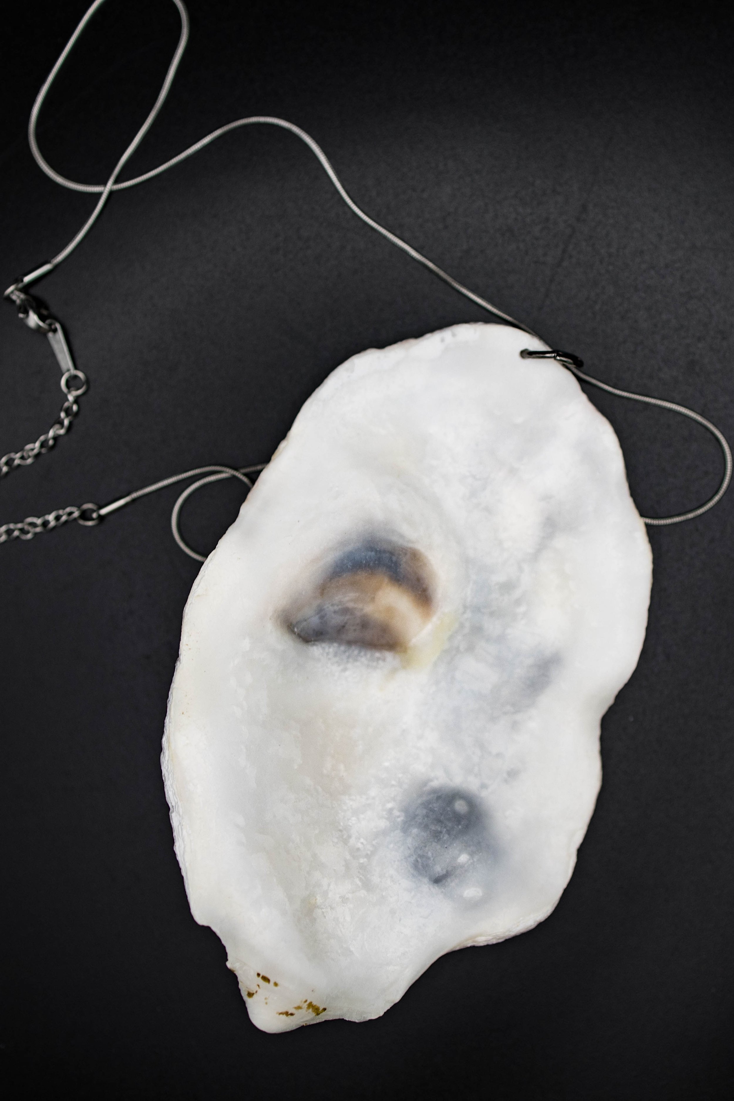 shell37 (1 of 1).jpg