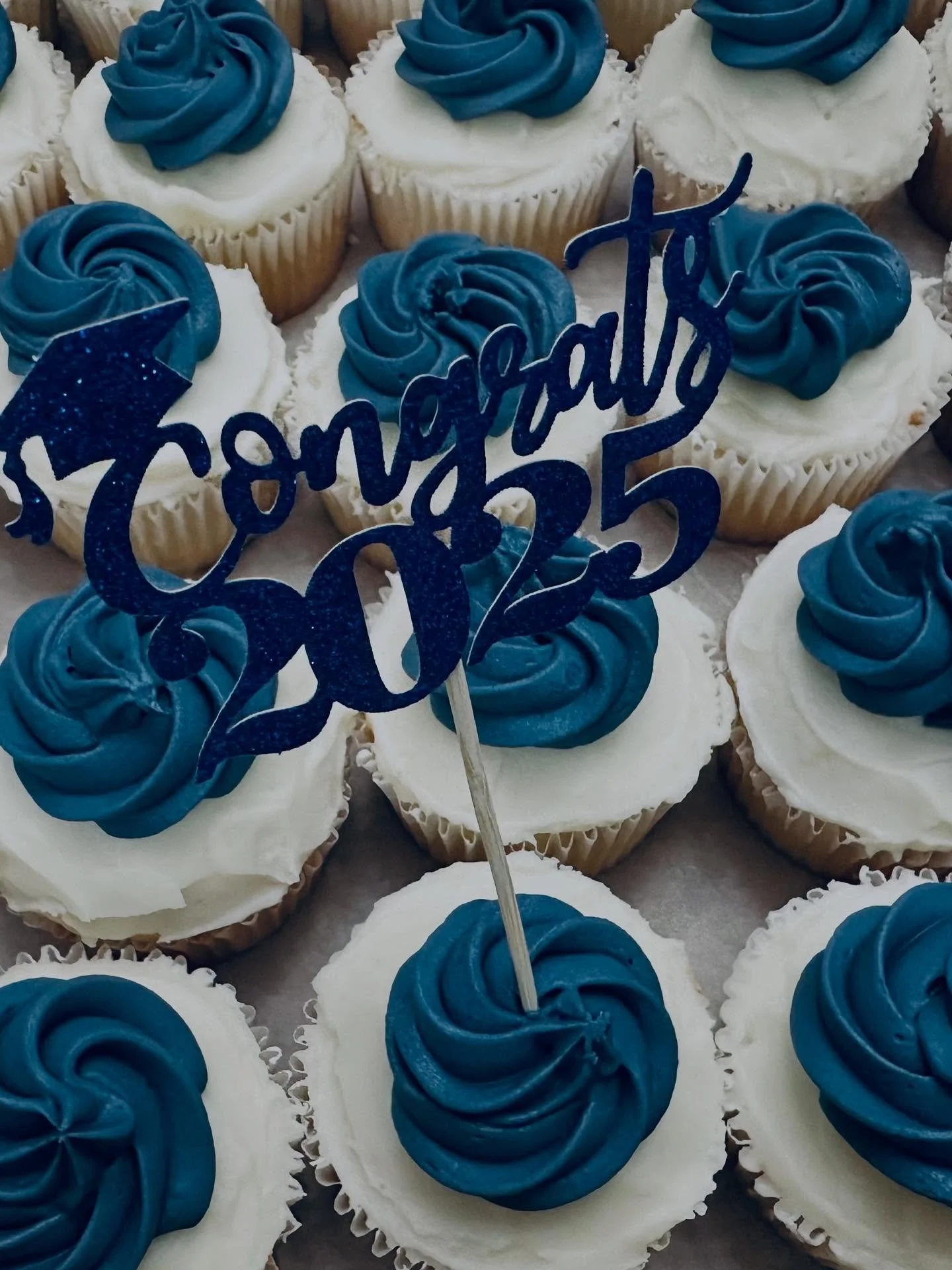 Congratulations to PRHS 2025 Graduates!! 🎓🎓🎓