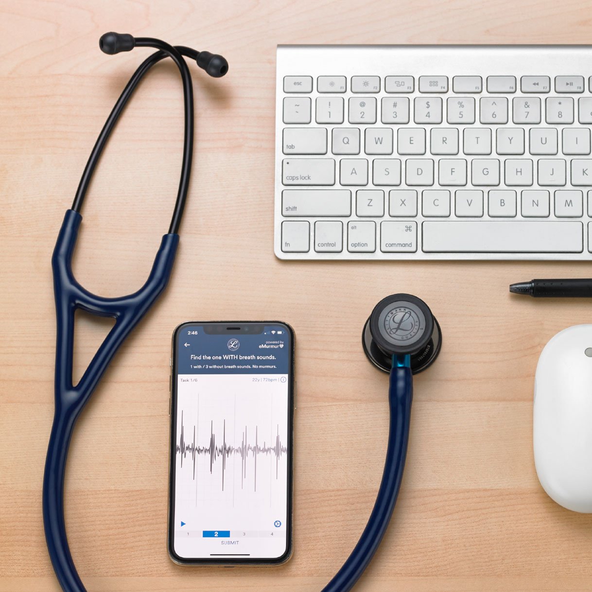 15_Littmann.jpg