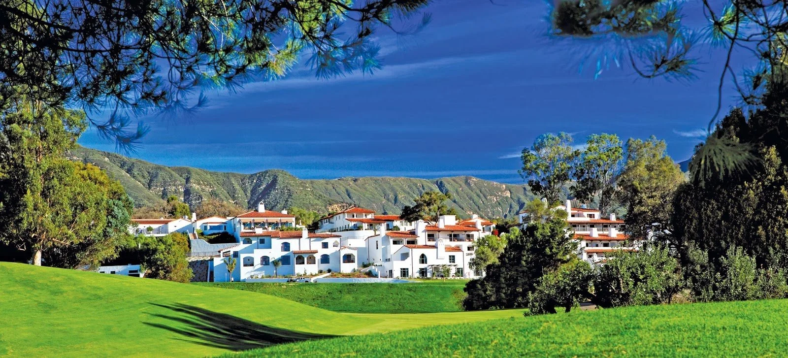 ojai valley cover 2.jpg