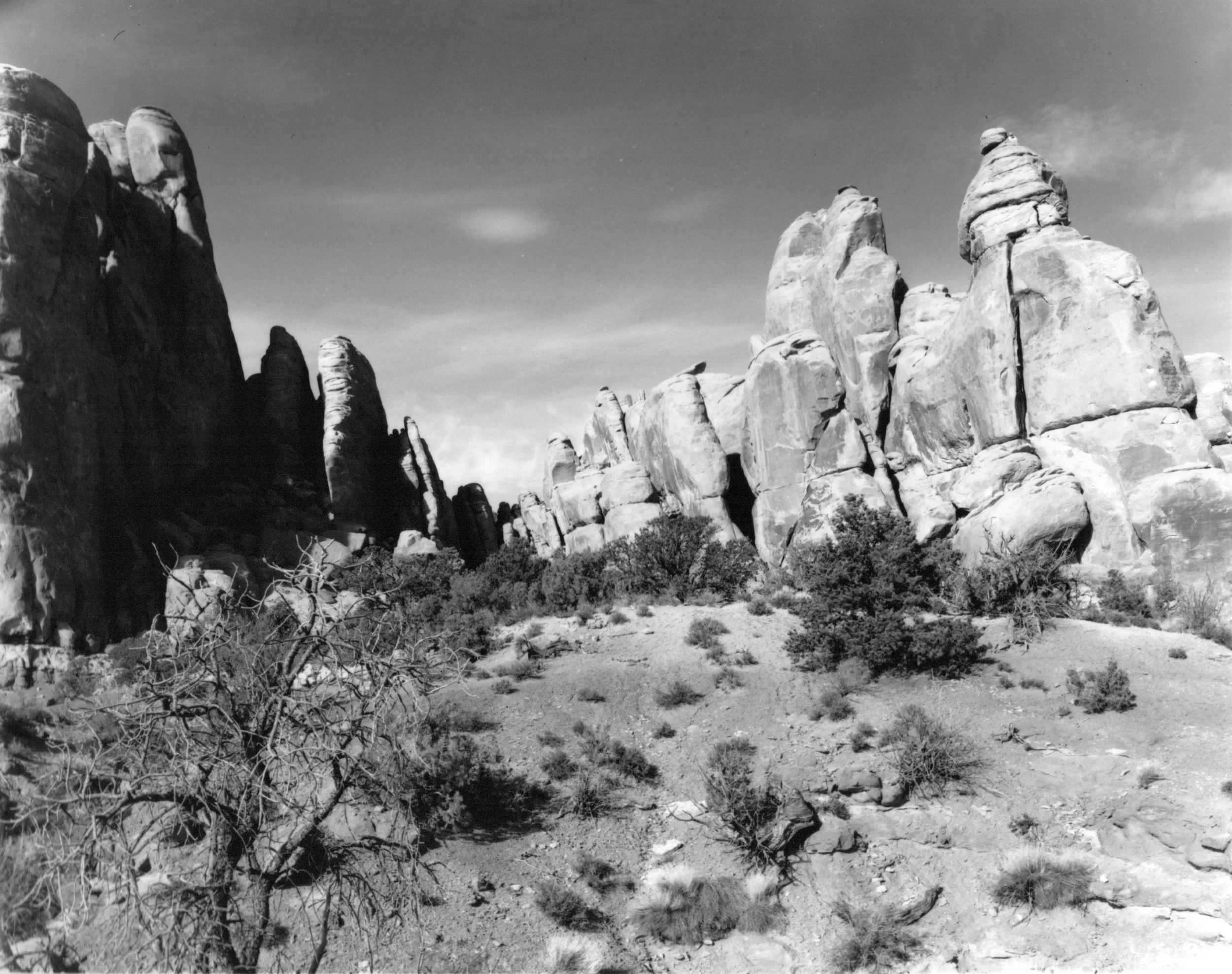 Arches Fins.jpg