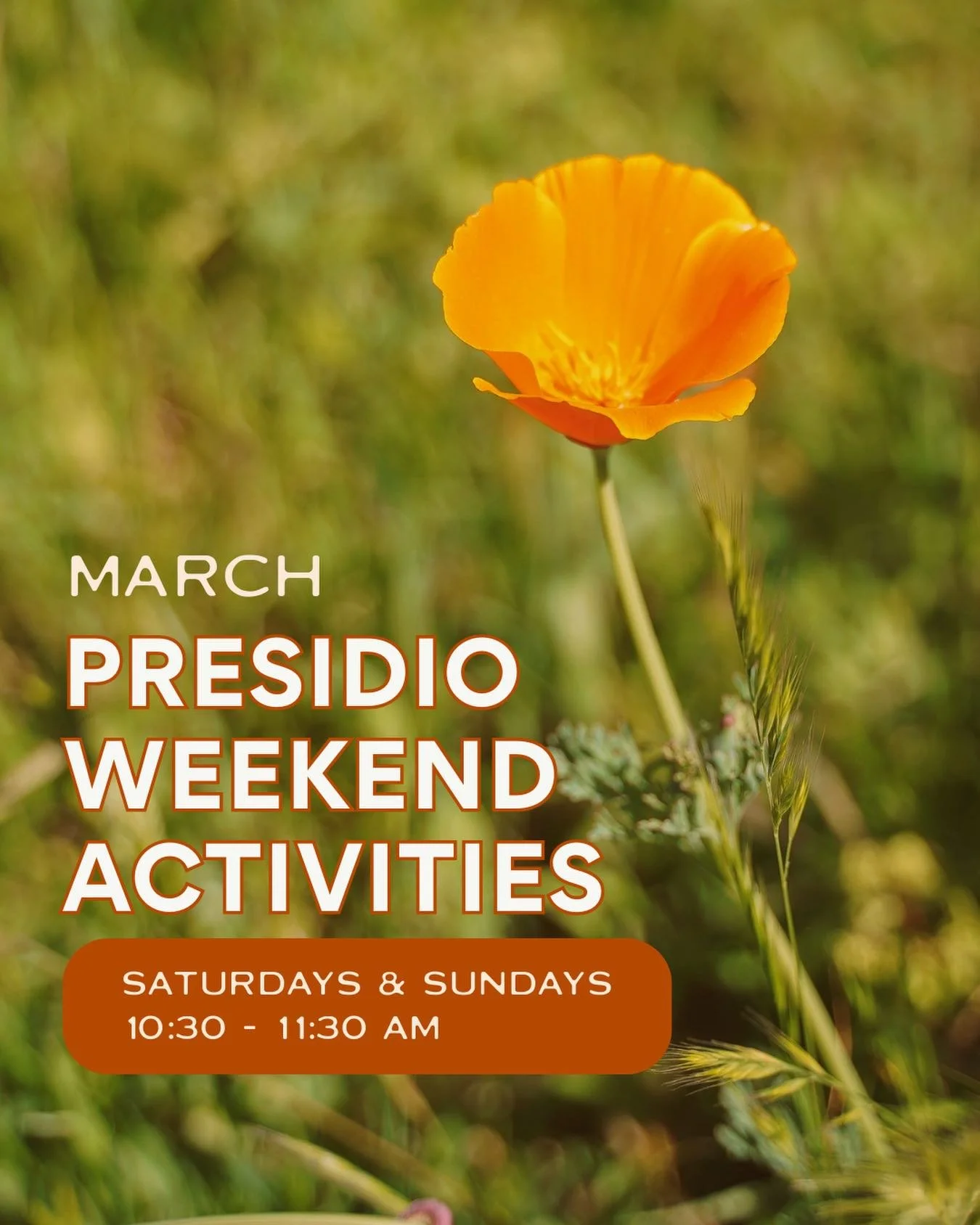 Join us for March&rsquo;s Presidio Weekend Activity and learn about native California plants which are drought resistant, fire resilient, and pollinator friendly. Come plant wildflower seeds to take home, while supplies last. All ages and skill level