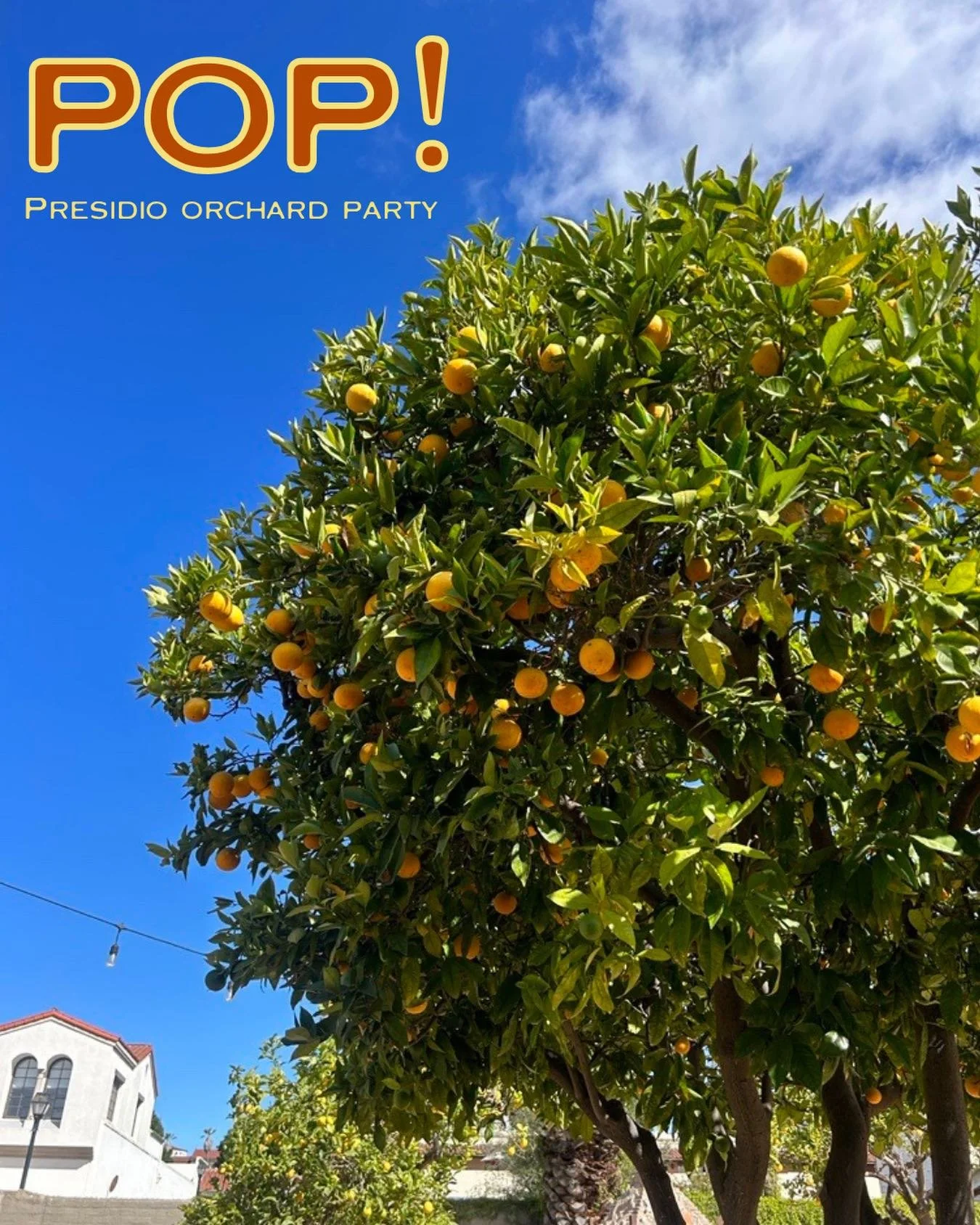 We can&rsquo;t wait to celebrate with you next Saturday at POP! ✨🍋

Enjoy delicious bites from Buena Onda, El Zarape, Renaud&rsquo;s Patisserie, beer, wine, and spirits from local tasting rooms, and a fun-filled time under the orchard sky. Sip, savo