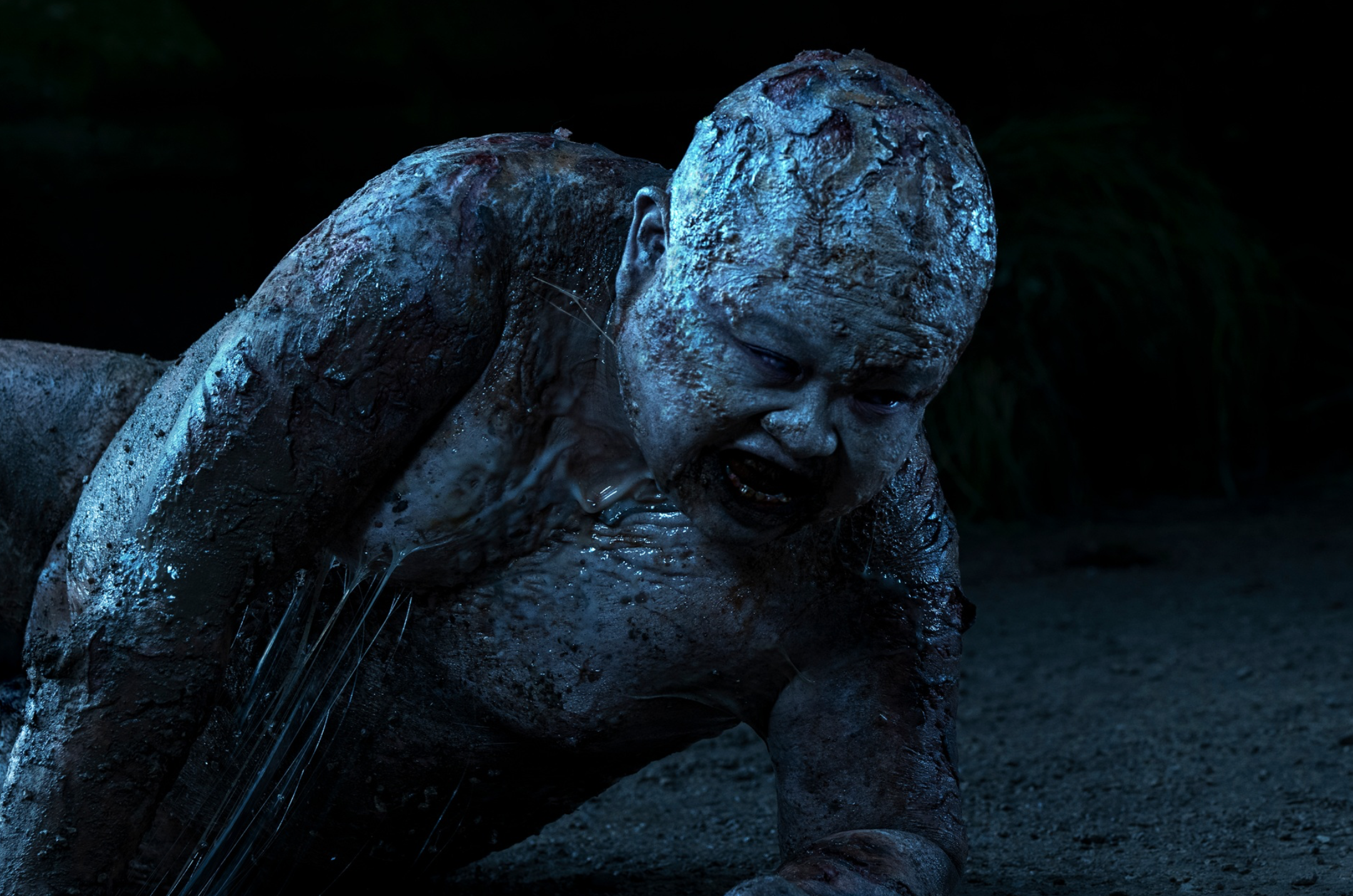 Screenshot 2026-03-12 at 15.23.49.png