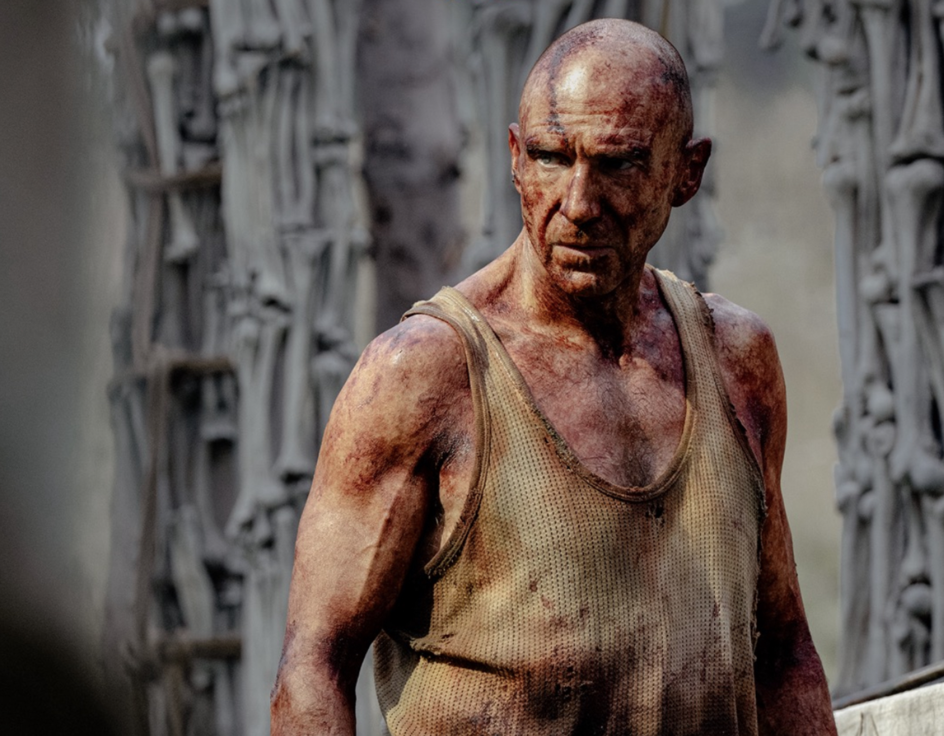 Screenshot 2026-03-12 at 15.23.24.png