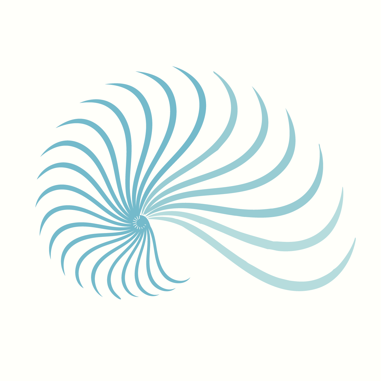 A Closer Look at The Center’s New Symbol and Why It Felt Right