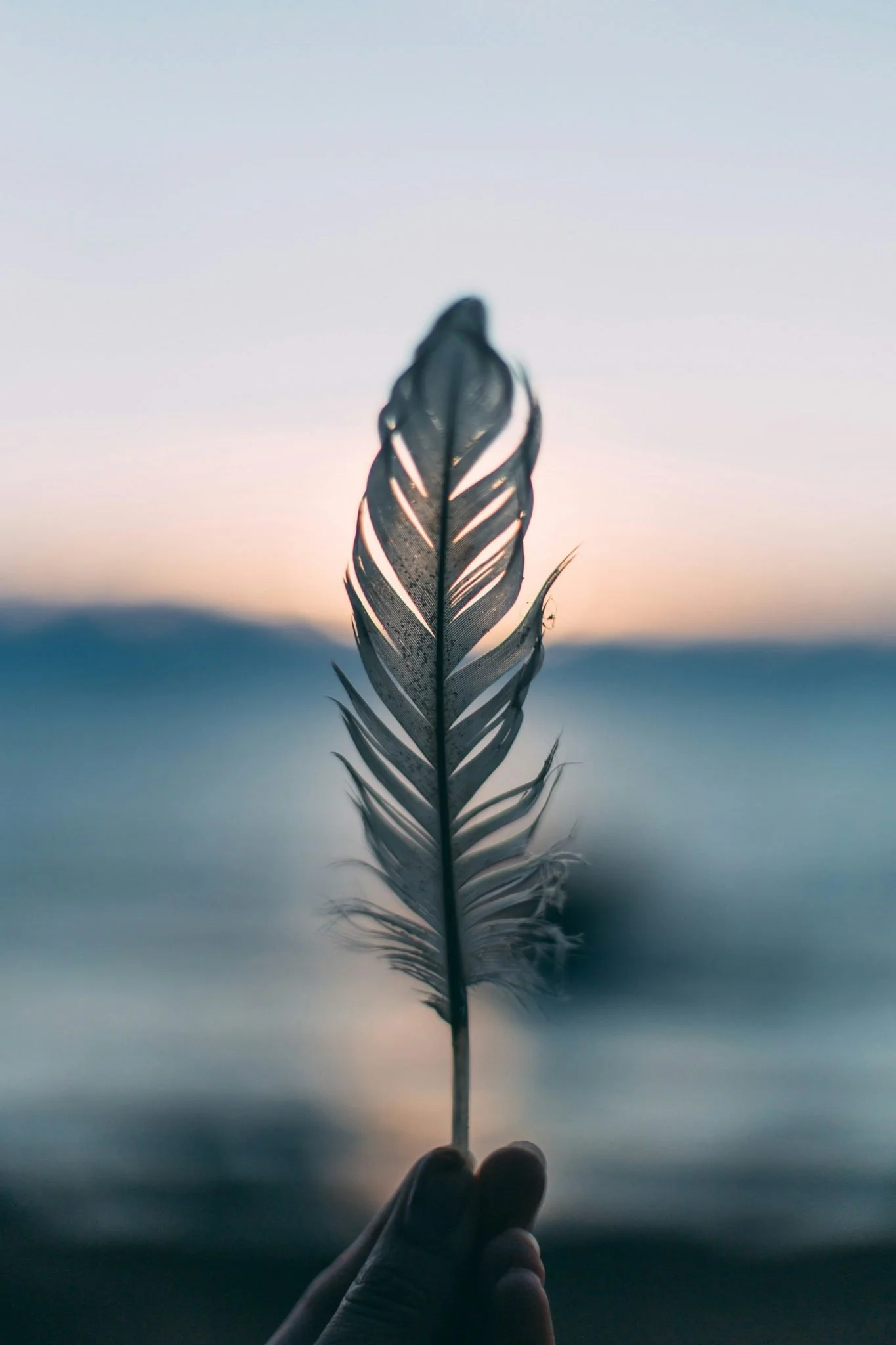 Close-up of a feather held against a soft sky, symbolizing intuition, spirituality, and self-discovery.