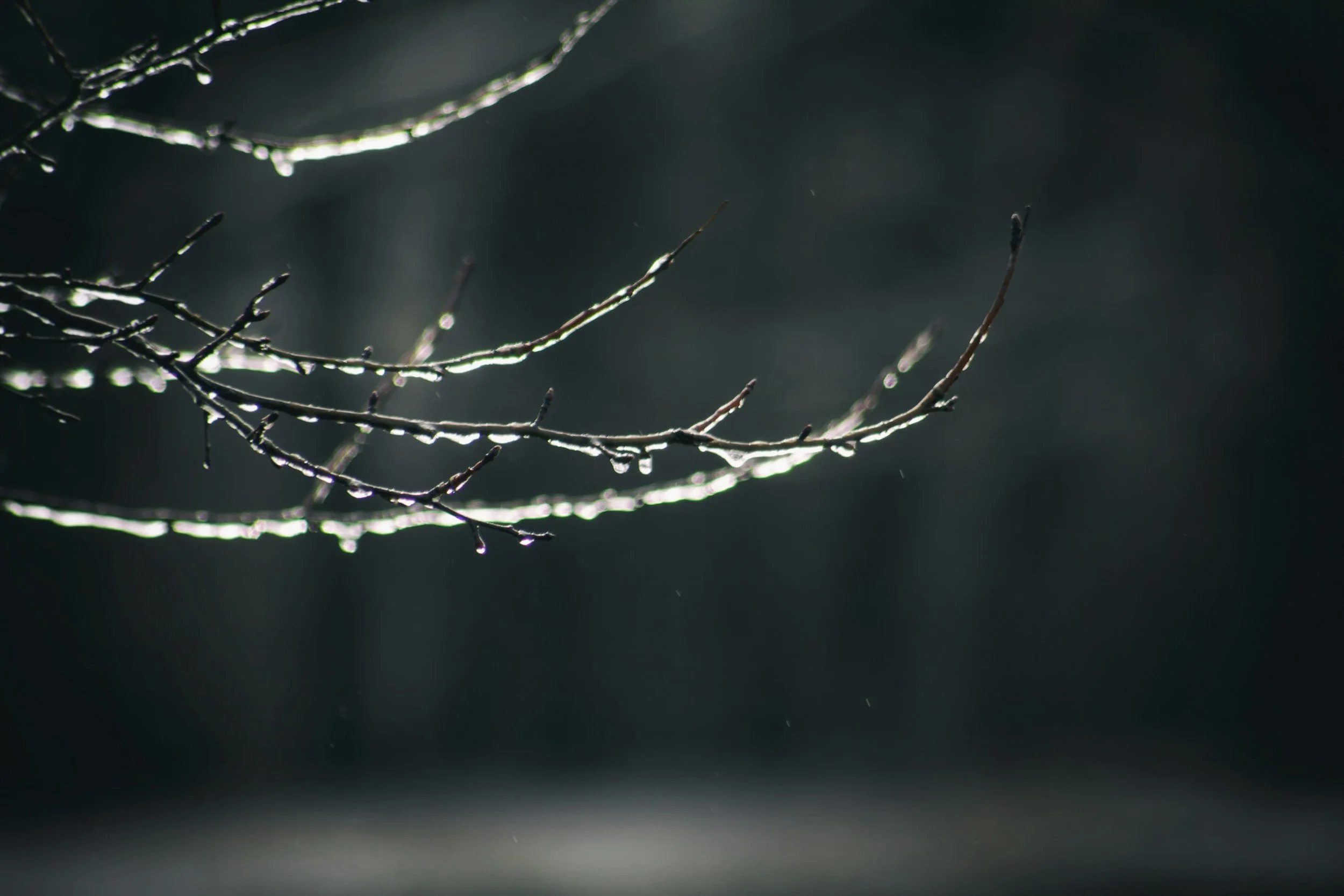 A Spontaneous Awakening