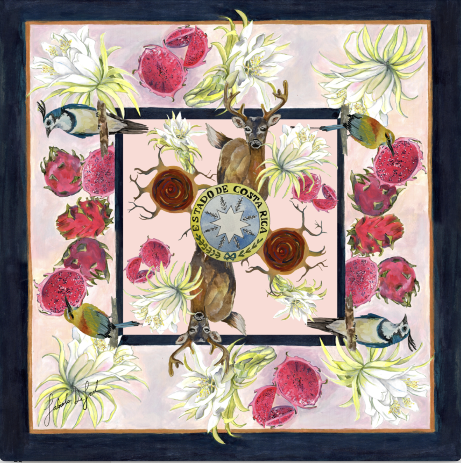 SILK SCARF –Pañuelo de Seda – Bosque Seco de Pitahayas, Colección Eco Billetes Costa Rica