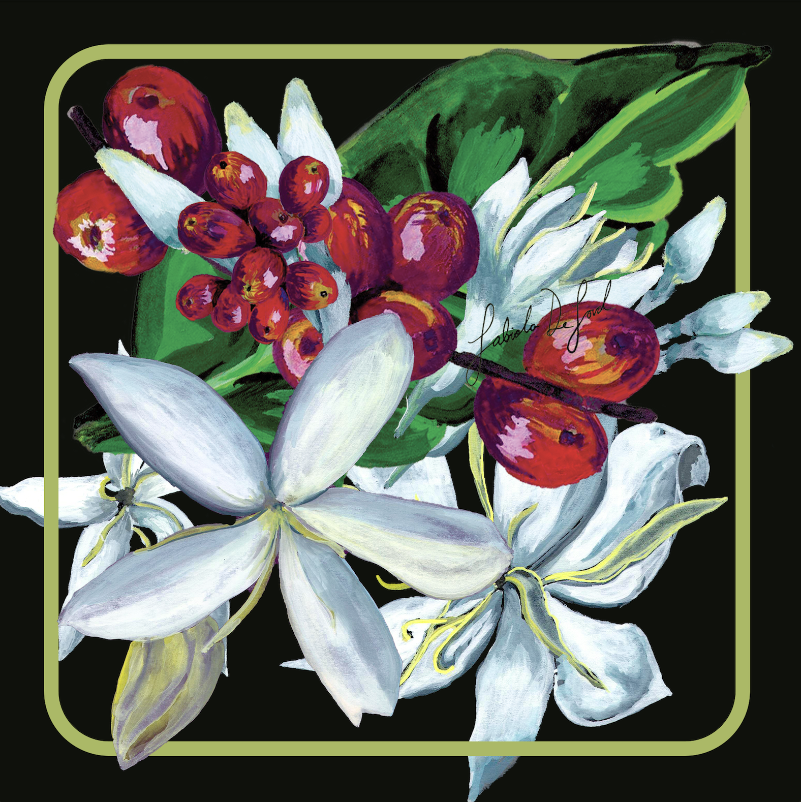 COTTON SCARF/ Pañuelo de algodón – La Flor del Café, Colección Matices del Café, Costa Rica