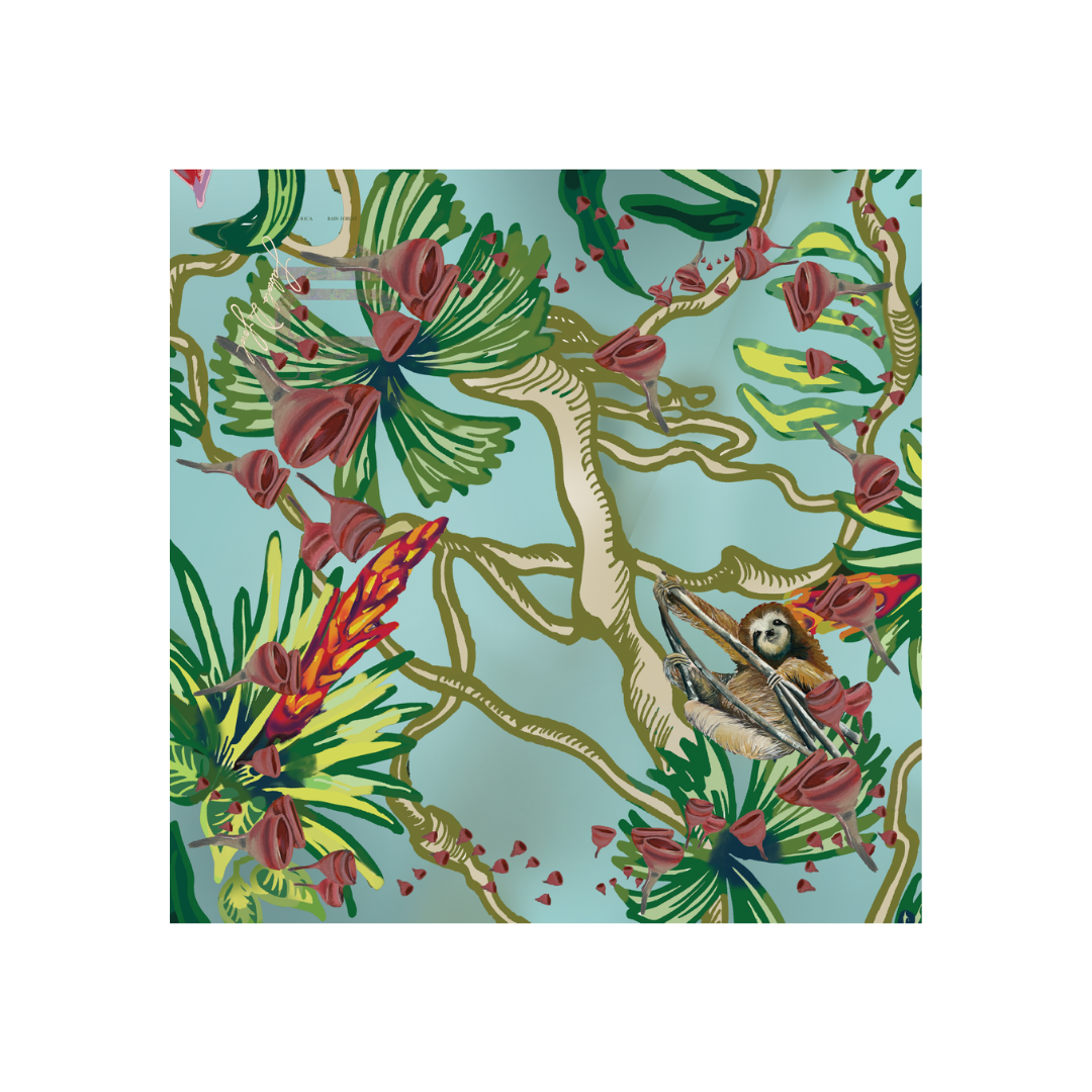 Pañuelo de Seda – Bosque Lluvioso de Orquídeas- Colección Eco Billetes, Costa Rica mediano