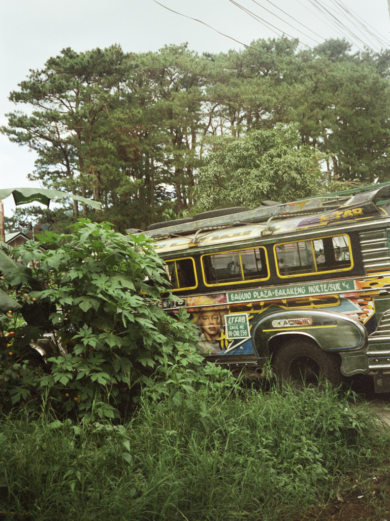 IMG_3249.png