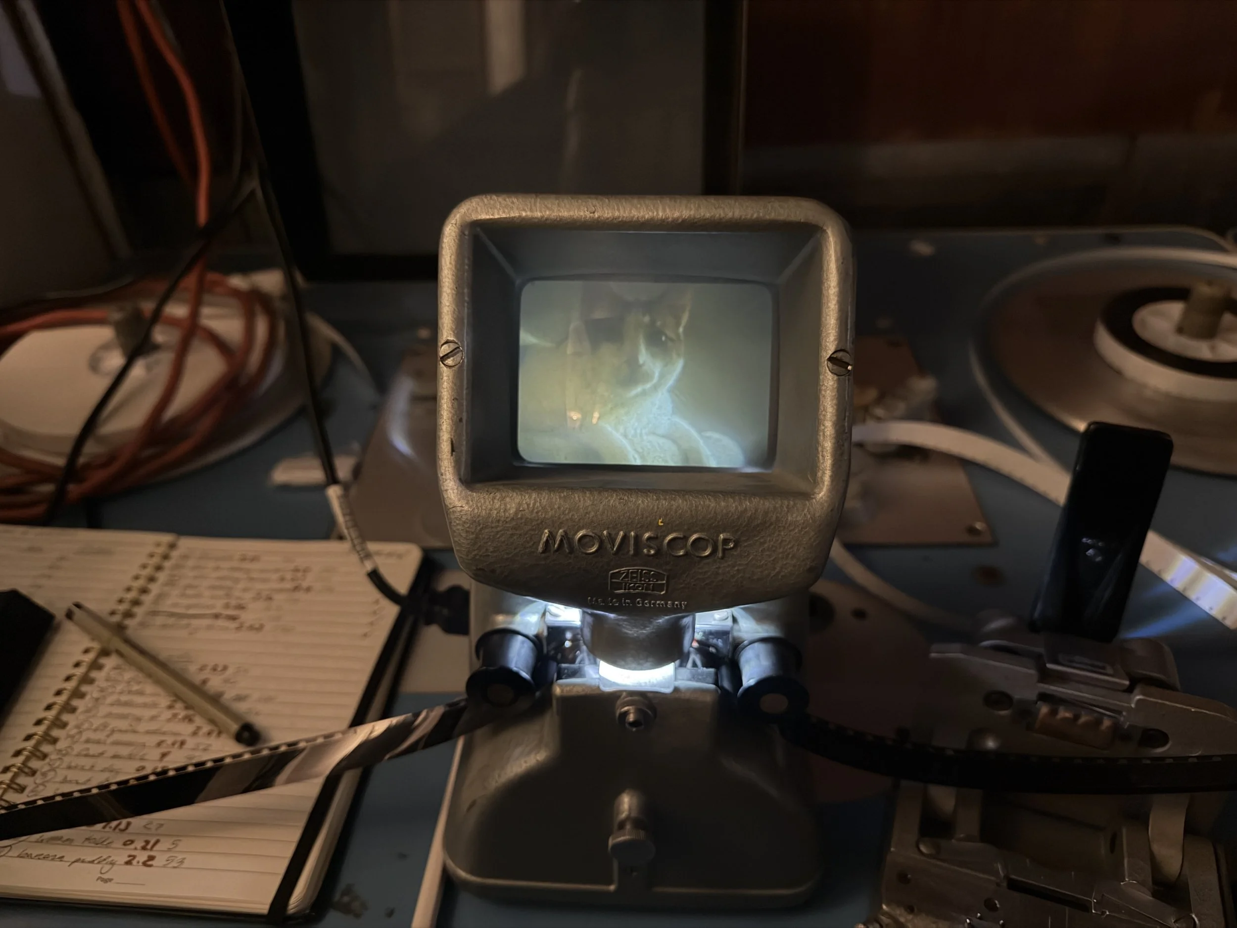IMG_1667.JPG