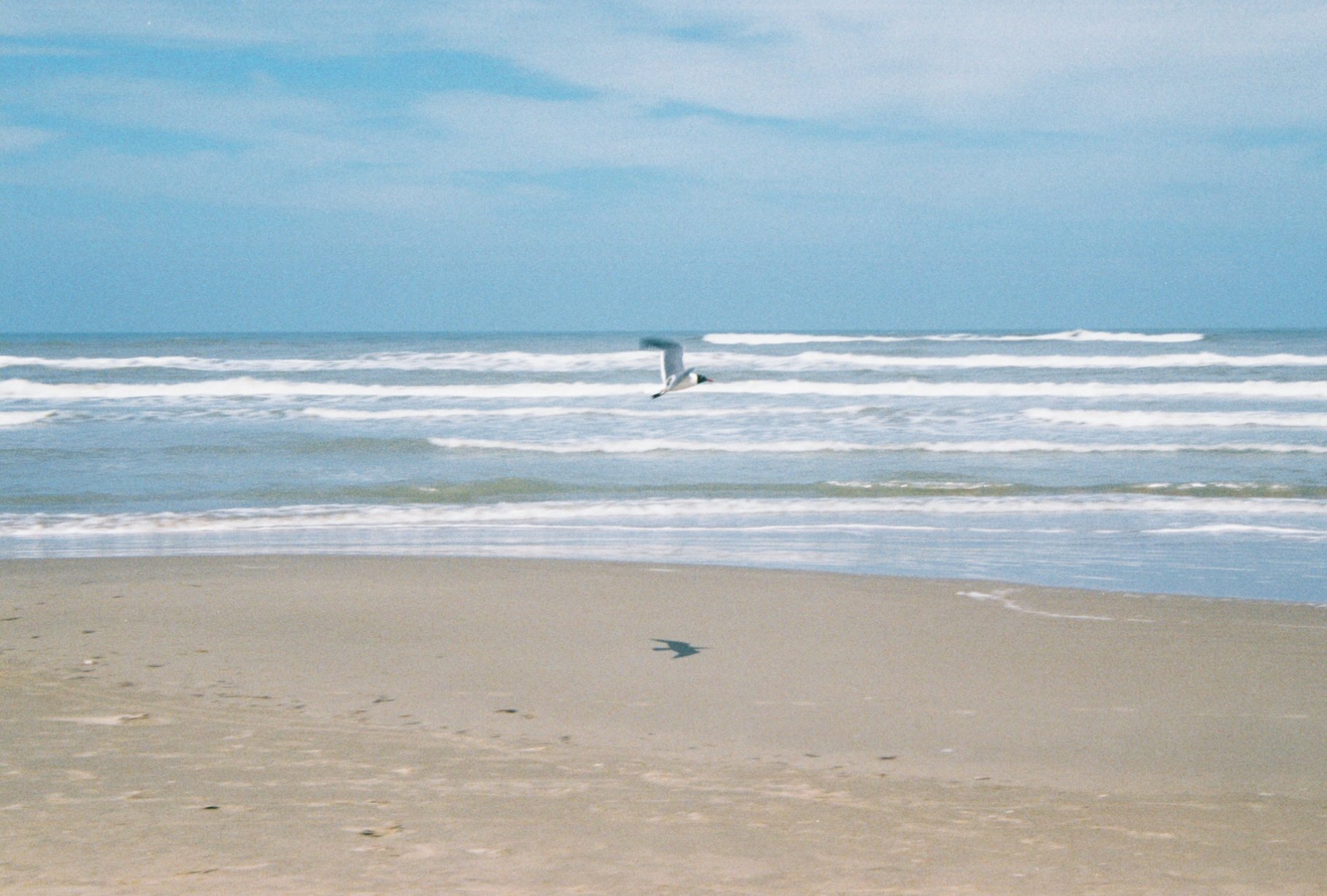 0001006_0001006-R1-053-25.jpg