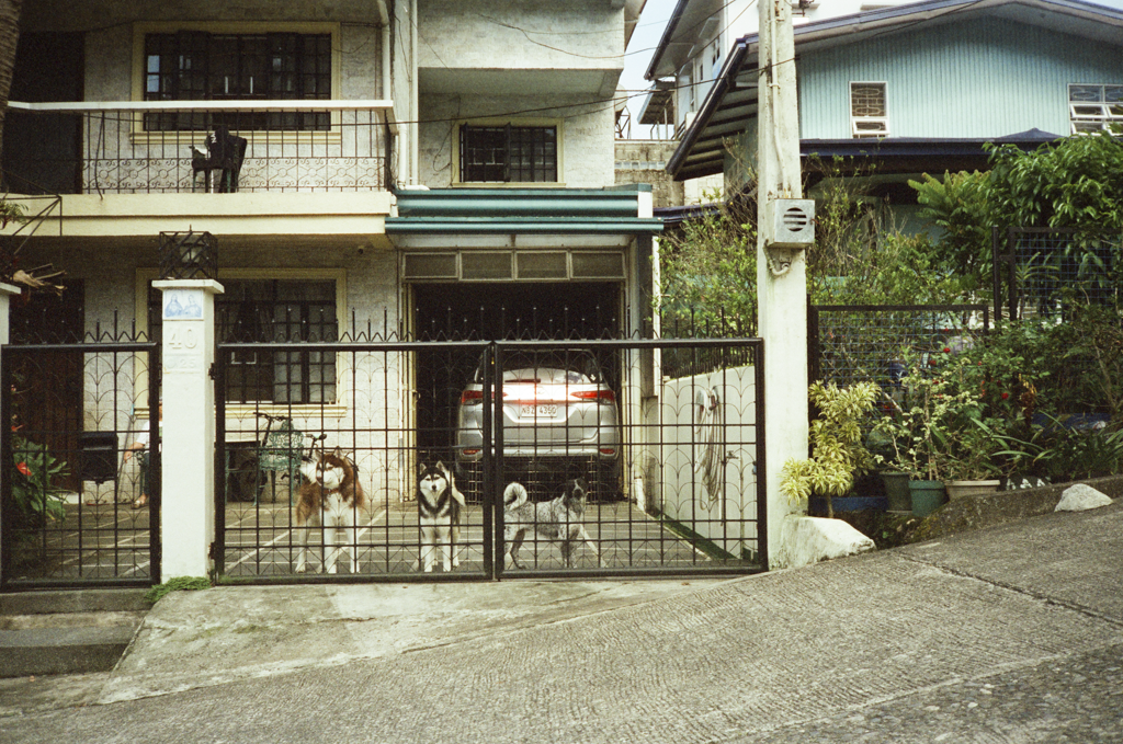 IMG_3218.png