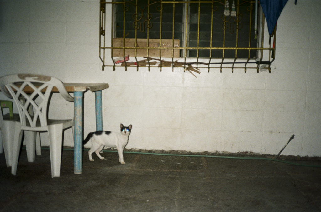 IMG_3092.png