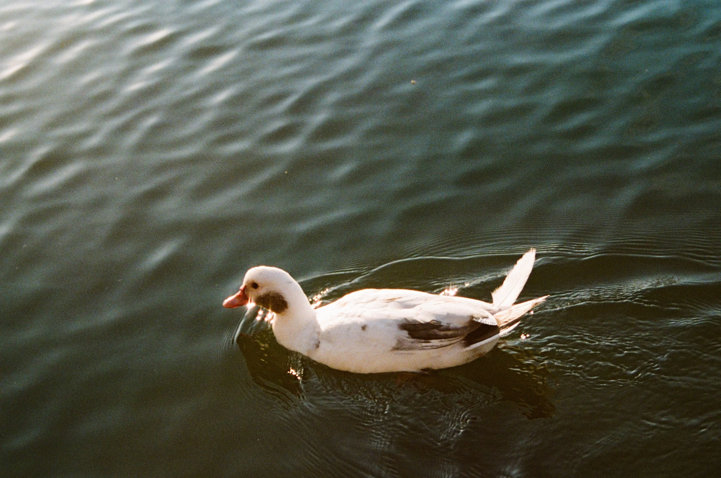 000036170033_30.JPG
