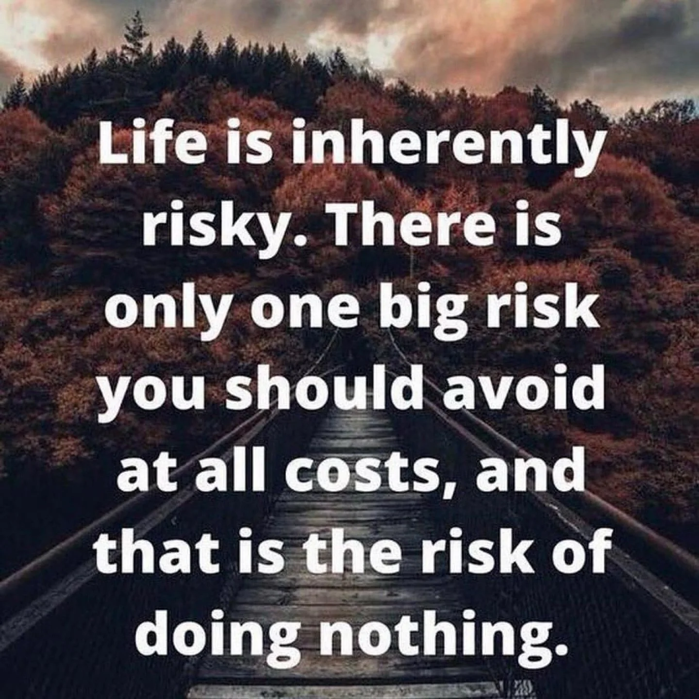 Never let fear hold you back! #edchat