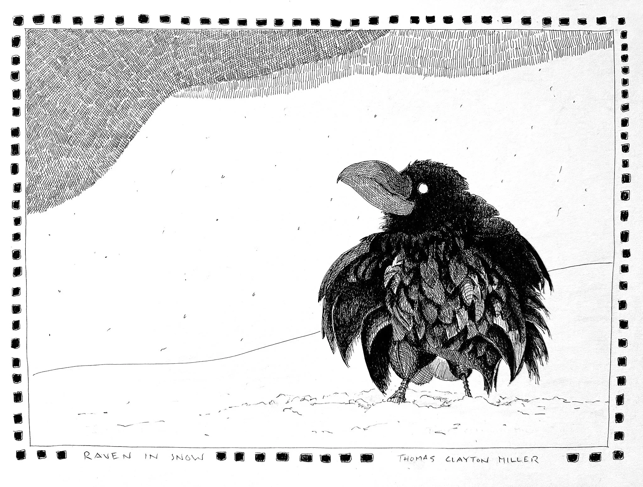 Raven-in-Snow_1.jpg