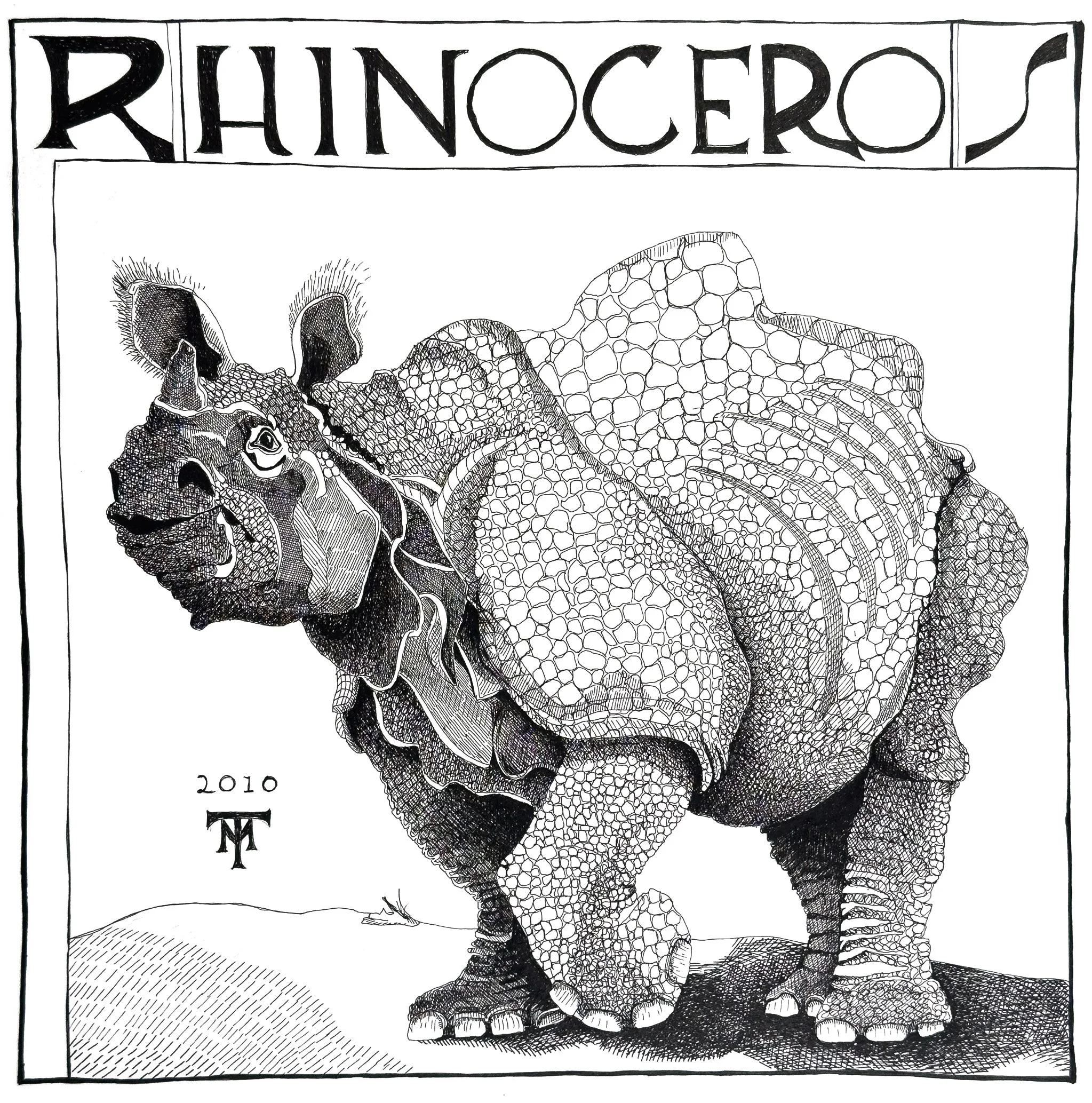Rino_1.jpg