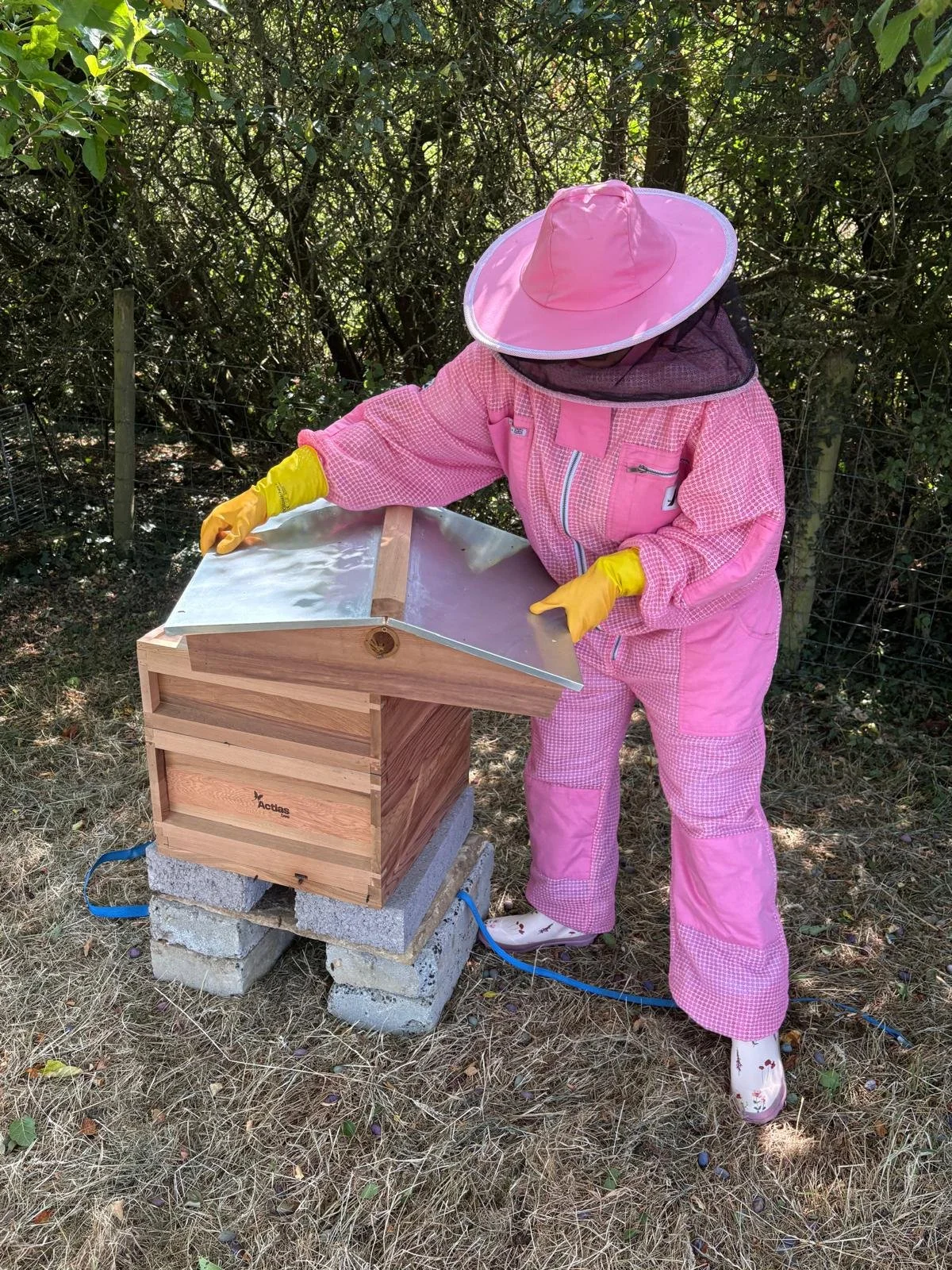 Bee Removal Banbury