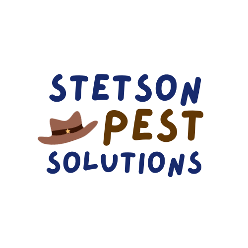 Bee Removal Banbury