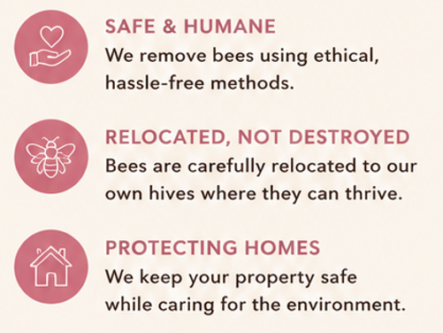 Bee Removal Banbury