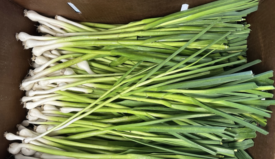 Screenshot 2026-04-15 at 8.48.59 PM.png