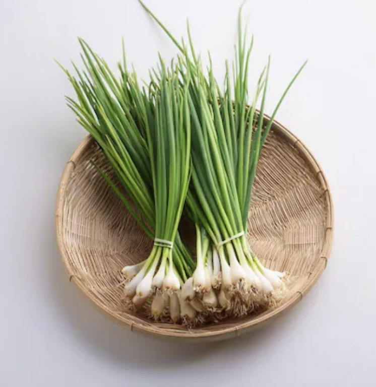 Screenshot 2026-04-15 at 8.48.33 PM.png