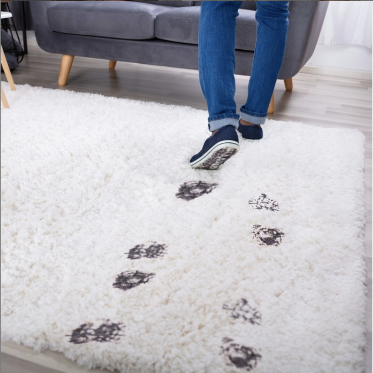 Not All Fabric Protection is Created Equal