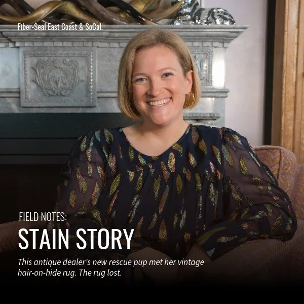 Stain Stories | Rocky Balboa, the Cowhide, and the Lesson Learned