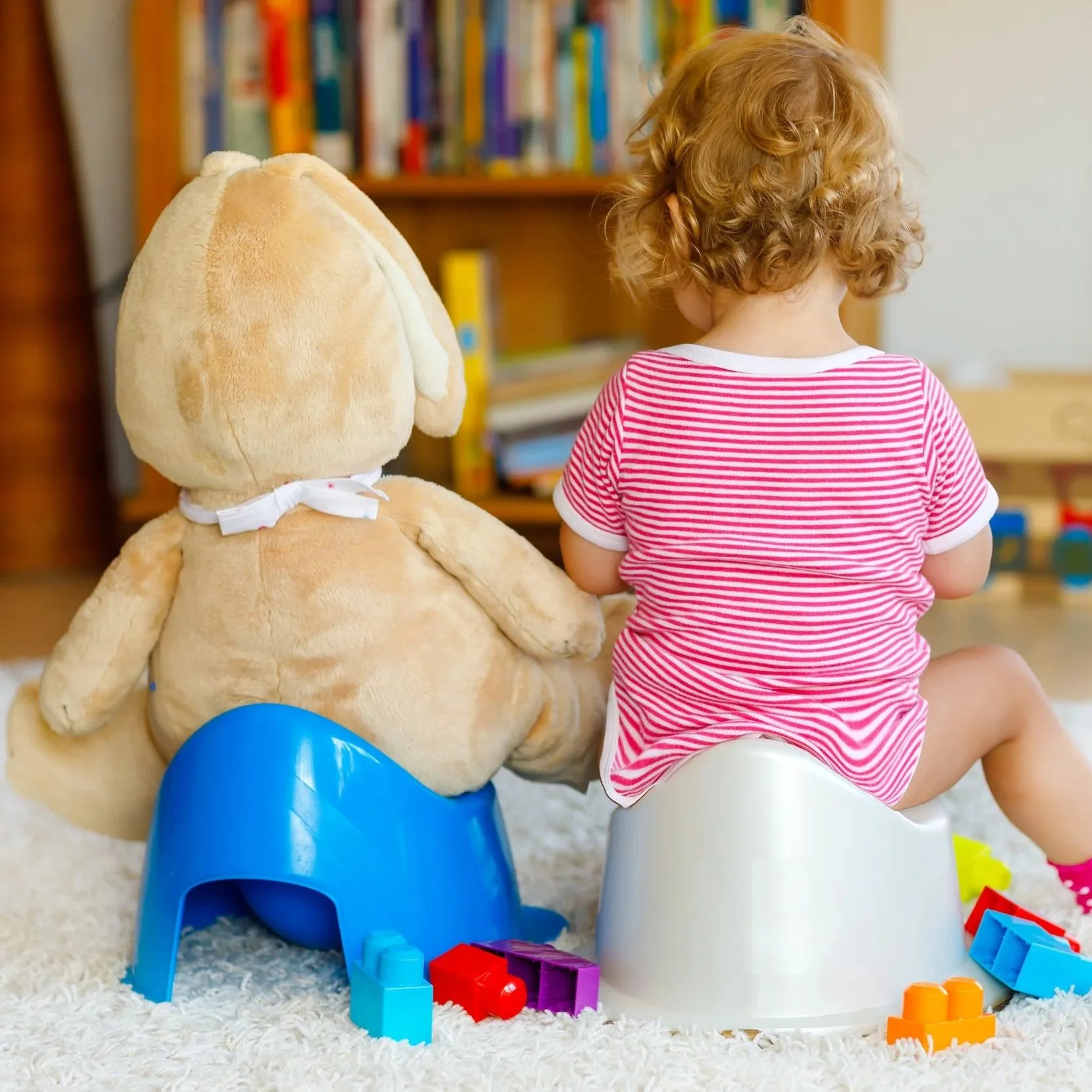 Baby and stuffy potty training