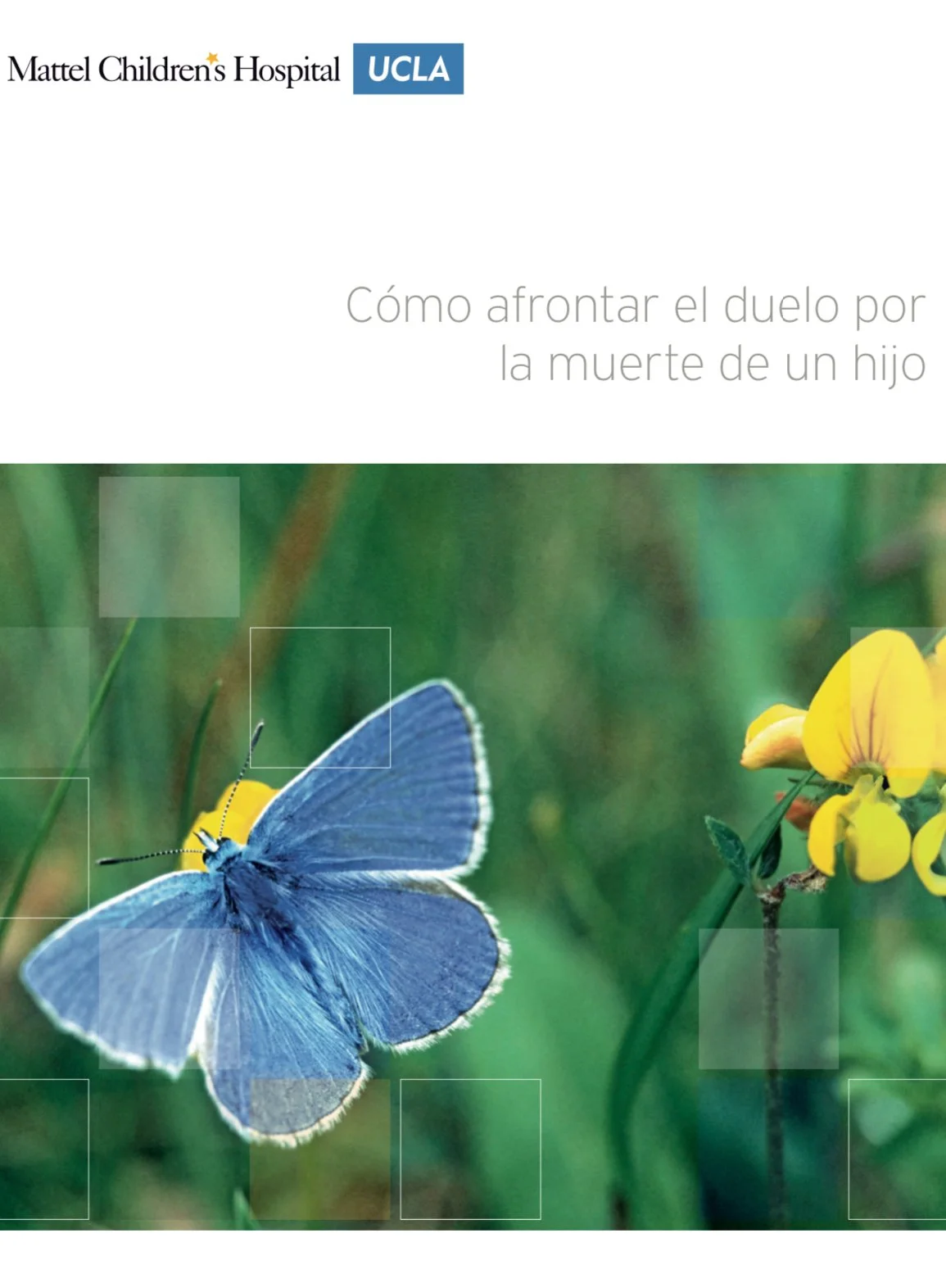 Cover of a booklet with the title 'Cómo afrontar el duelo por la muerte de un hijo' from UCLA and Mattel Children's Hospital, featuring a blue butterfly on a green plant with yellow flowers.