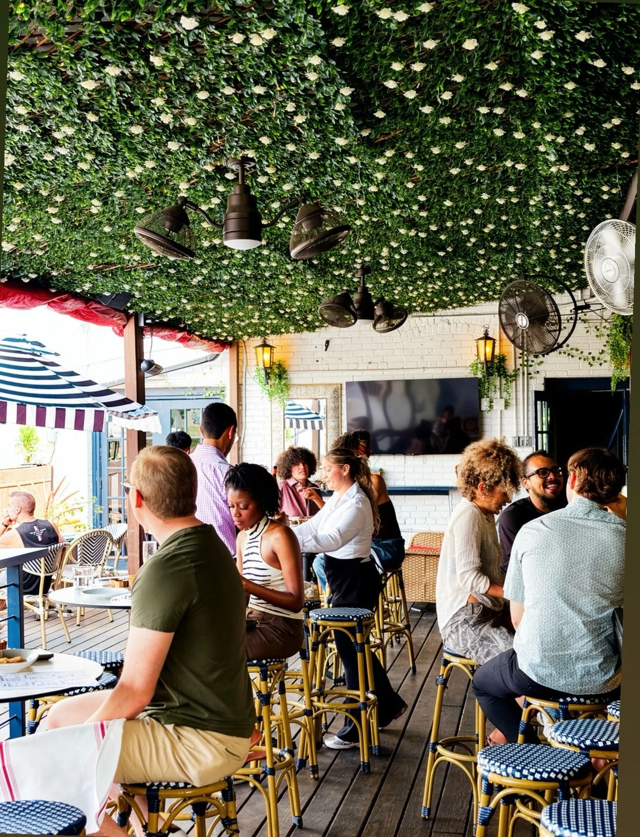 Rooftop weather ☀️ HH till 7PM 🍹 Live music every Wed &amp; Thu + jazz brunch on weekends 🎶 #dchappyhour #dcrooftops #thingstododc 

Reserve your table via the link in bio.