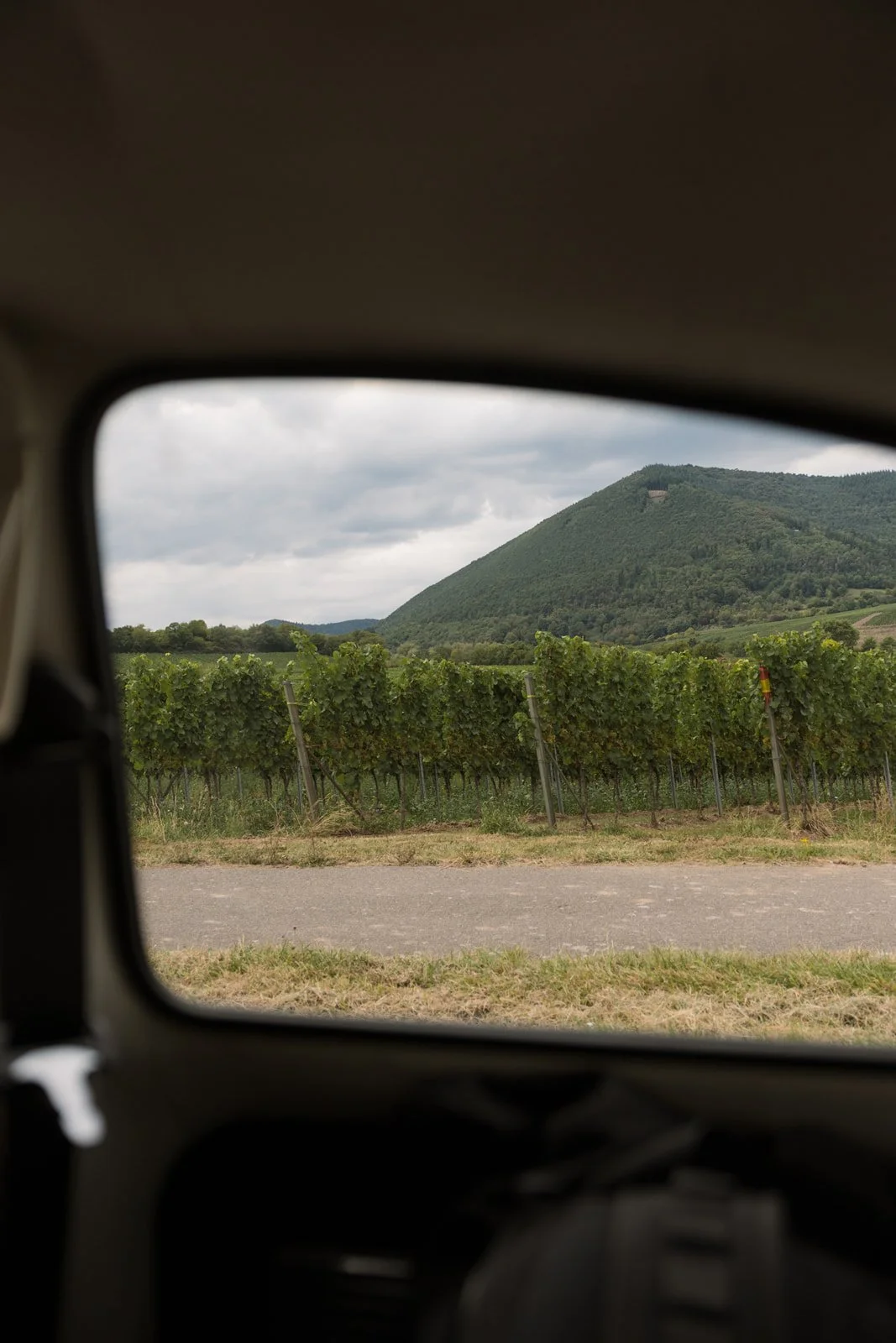 Weingut Dr. Wehrheim Landau in der Pfalz Brautpaar Hochzeit Oana Balan @oanasphoto