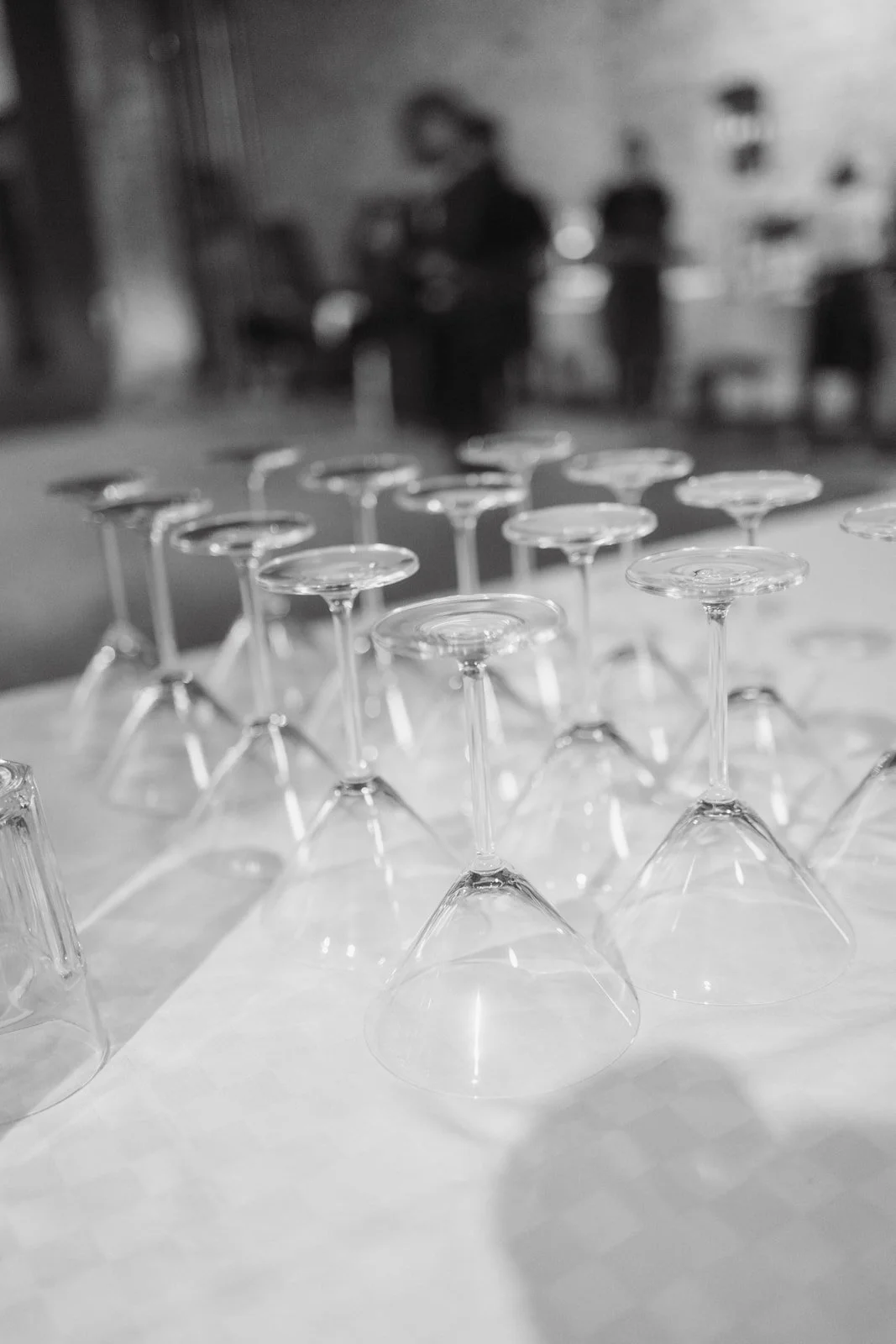 Weingut Dr. Wehrheim Landau in der Pfalz Brautpaar Hochzeit Oana Balan @oanasphoto