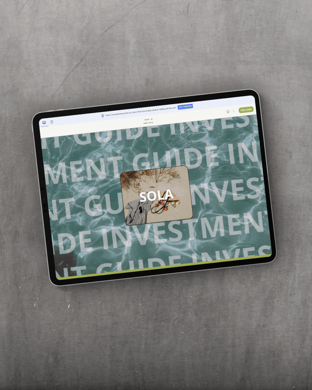 SOLA INVESTMENT.gif