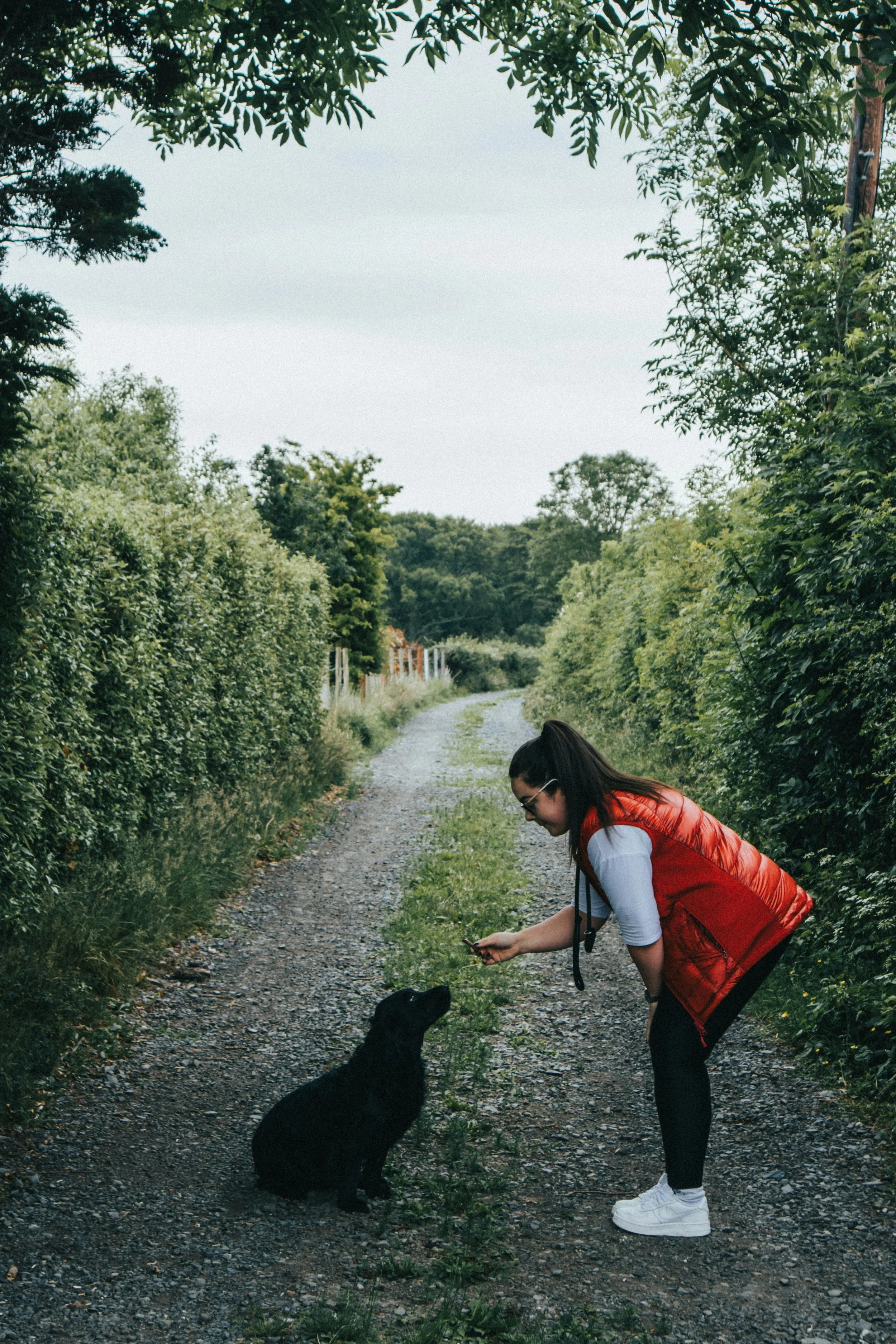 A woman with long hair and a red jacket is crouched down, offering a treat to a black dog sitting on a gravel path surrounded by lush green foliage.