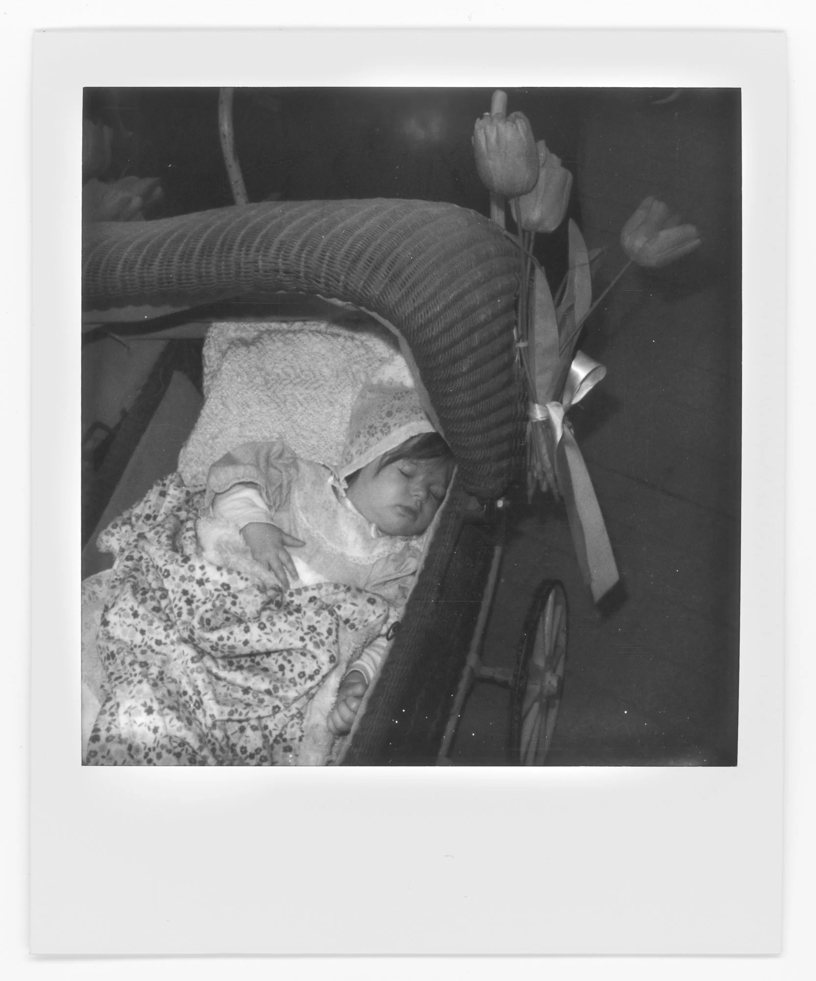 A black-and-white photo of a sleeping baby in a vintage stroller, with a floral blanket covering part of the baby, and a cloth hood over the head, sitting on a blanket or bedding. Pella, Iowa Tulip Time Festival, Dutch Heritage