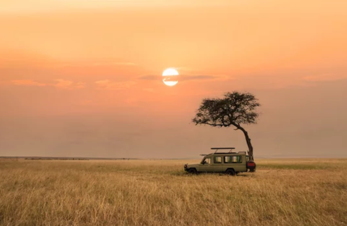 Pedaleando junto a la Gran Migración: el safari más emocionante de África.