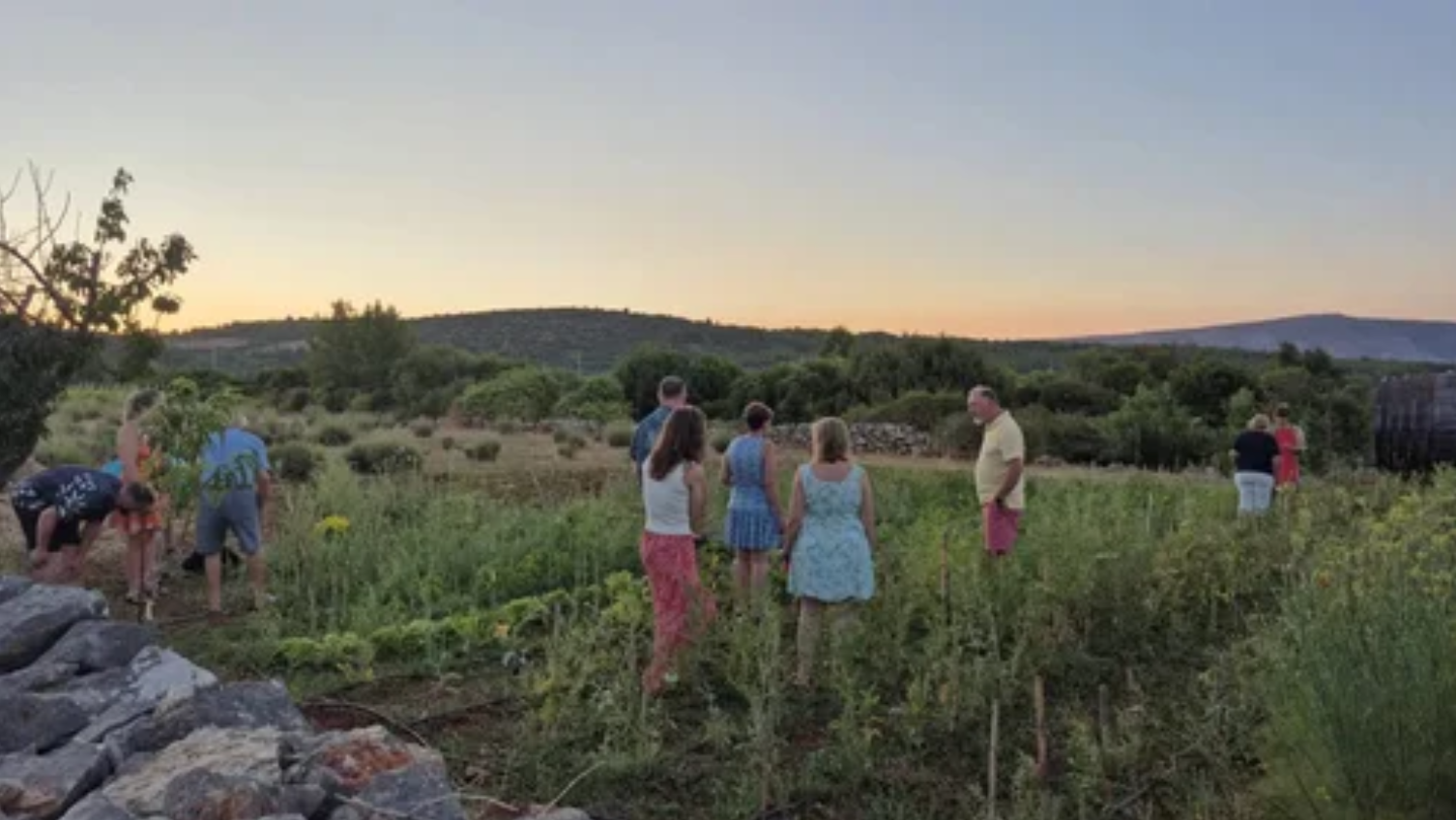 croacia gemas campo.png